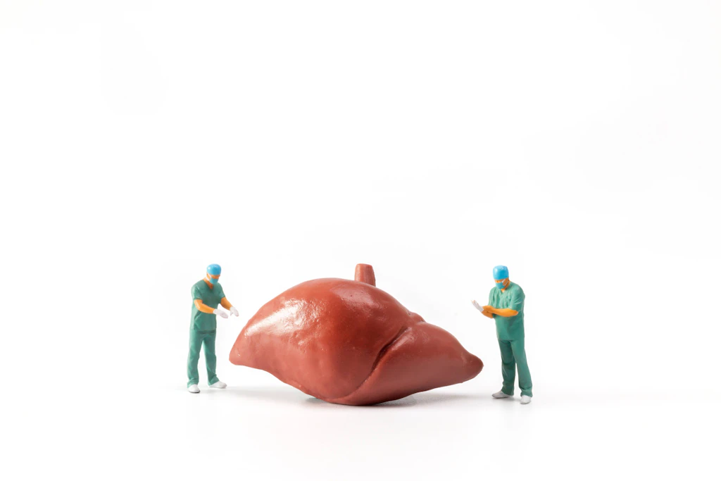 Was ist gut für die Leber? Tipps für ein gesundes Organ