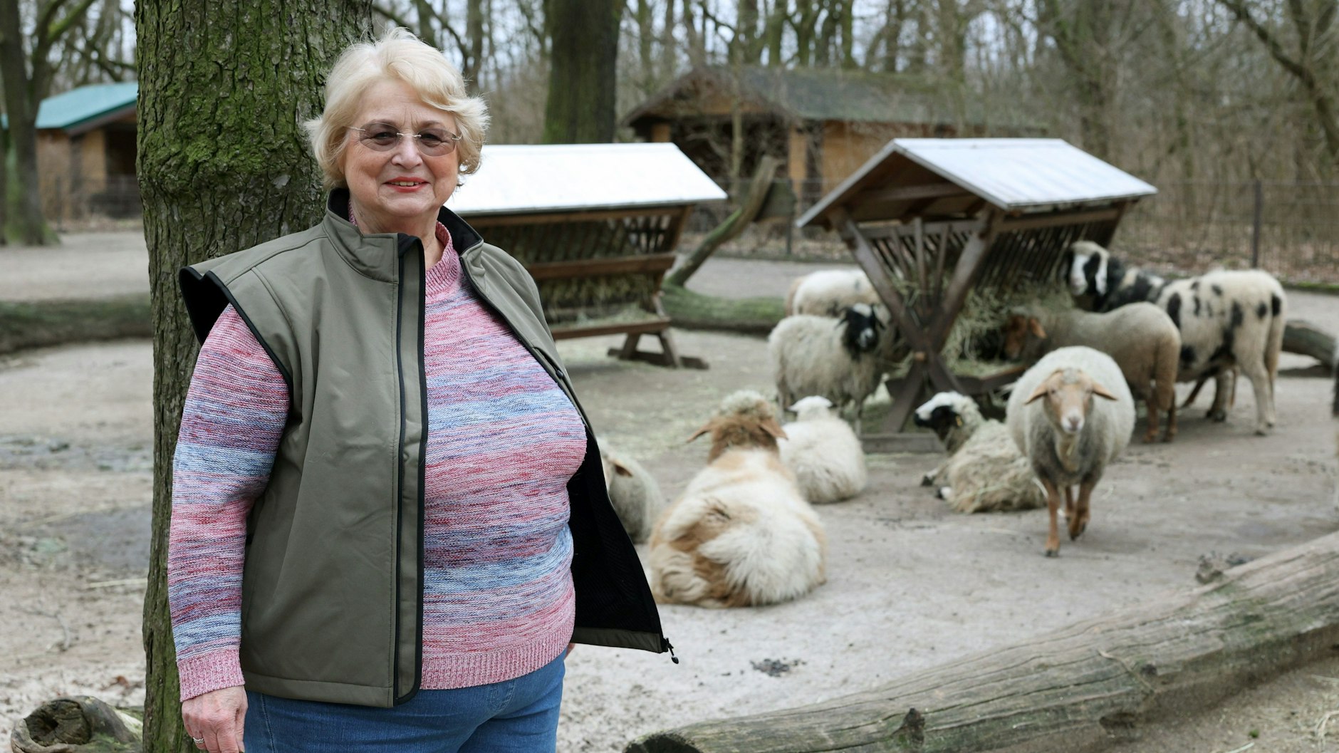 Ulrike Barthel im Streichelzoo mit über 20 Schafen und Ziegen: Es ist eines der Reviere, in dem die Pankowerin ehrenamtlich im Tierpark Berlin helfen wird.