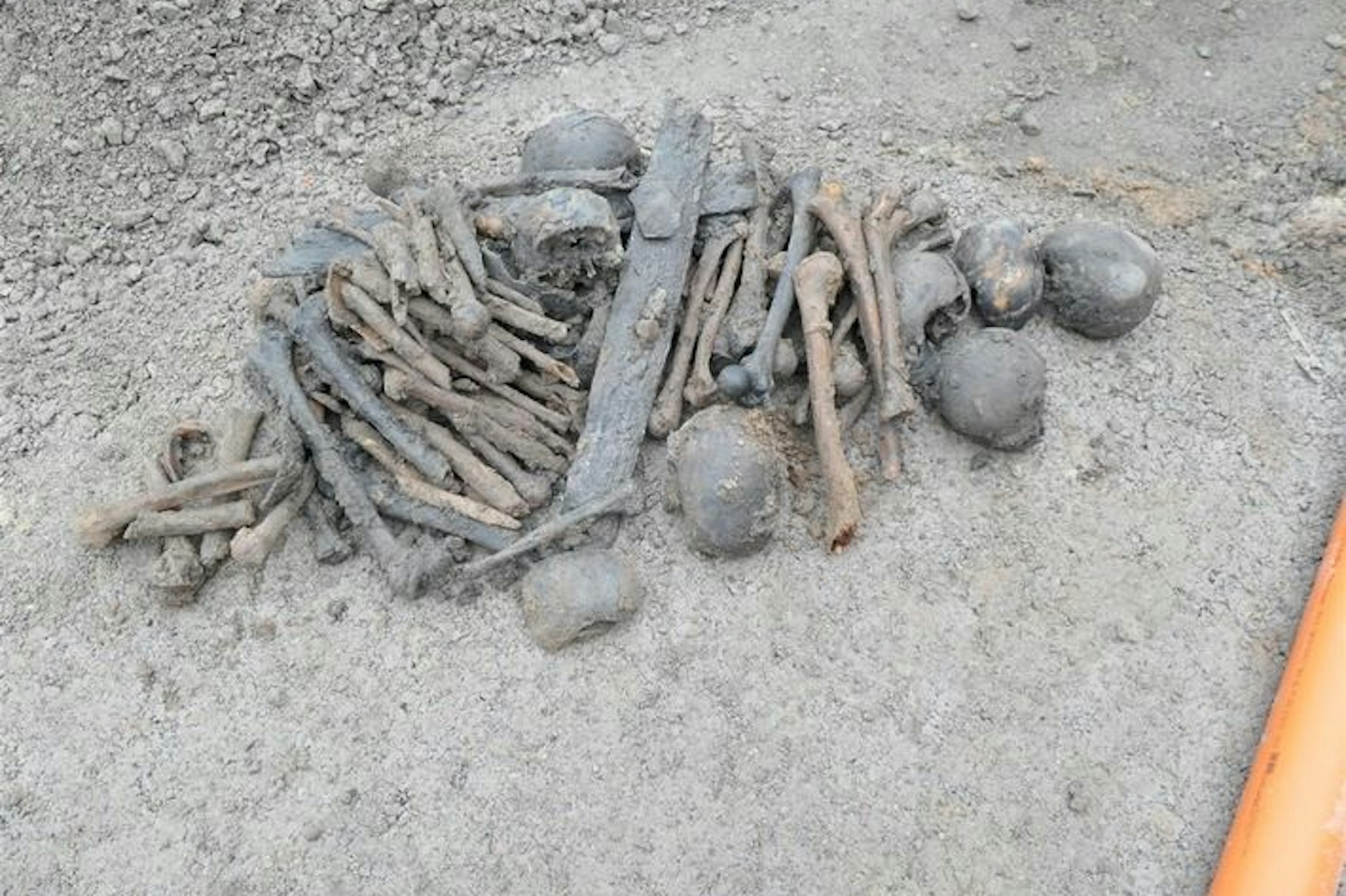 Bei Erdarbeiten nach dem Abriss eines Hauses sind in Lippetal mehrere Schädel und eine Vielzahl von Knochen gefunden worden.