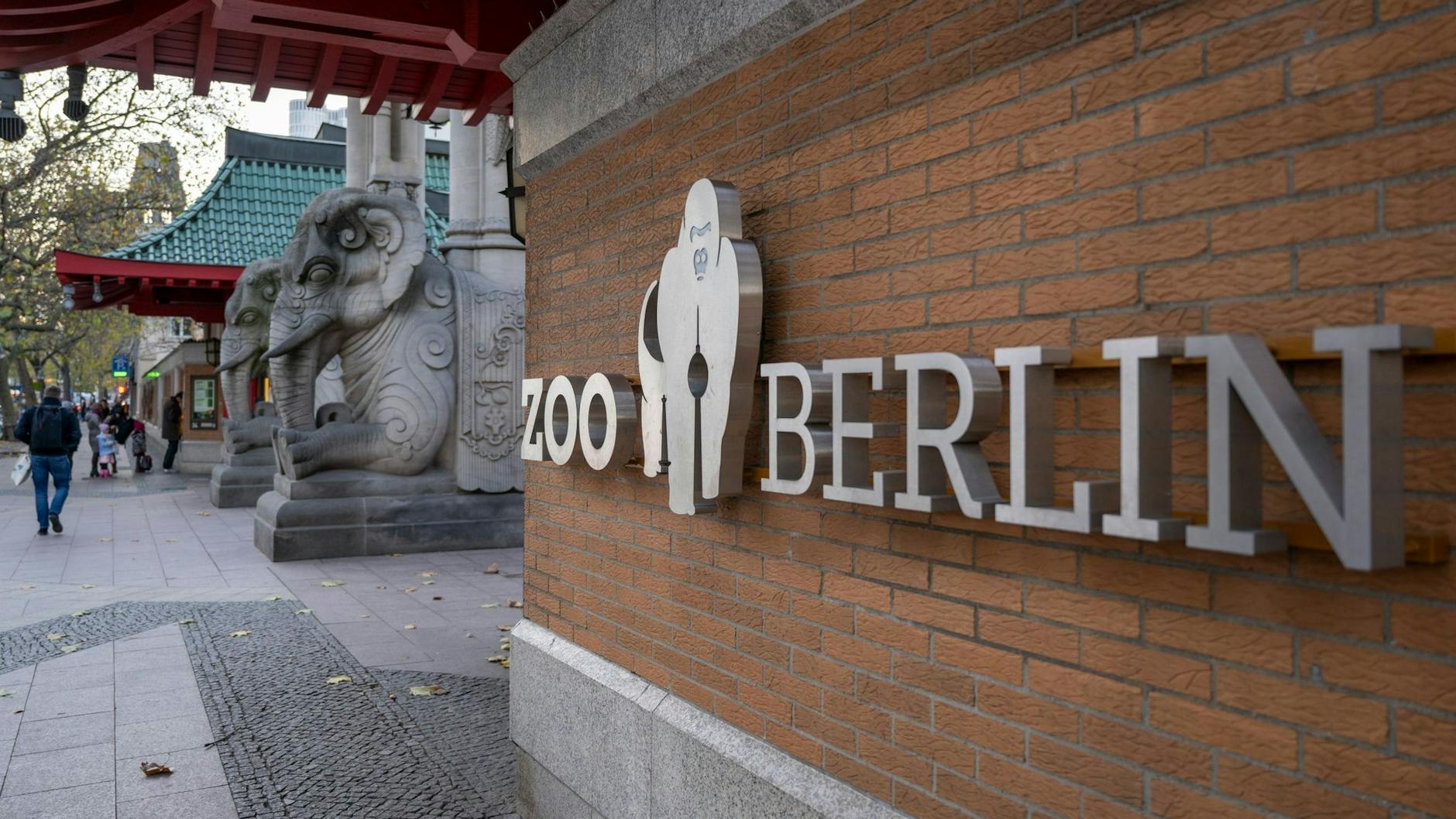 Gorilla Bobby ist als Zoo-Logo allen Berlinern bekannt. Im Naturkundemuseum kann man den echten Affen auch noch 90 Jahre nach seinem Tod bestaunen.