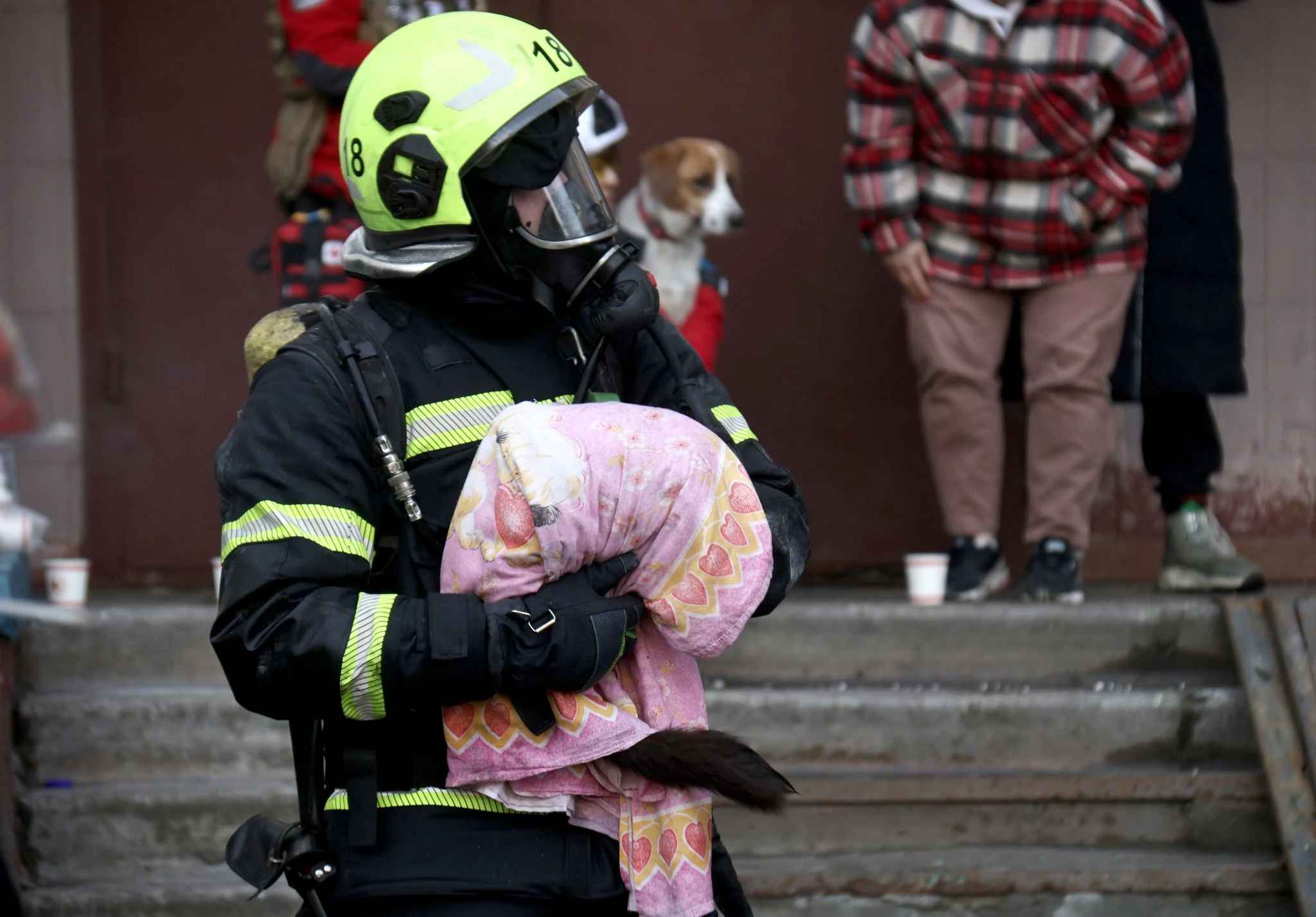 Ein Feuerwehrmann rettet in Kiew ein Tier nach einem russischen Angriff.  