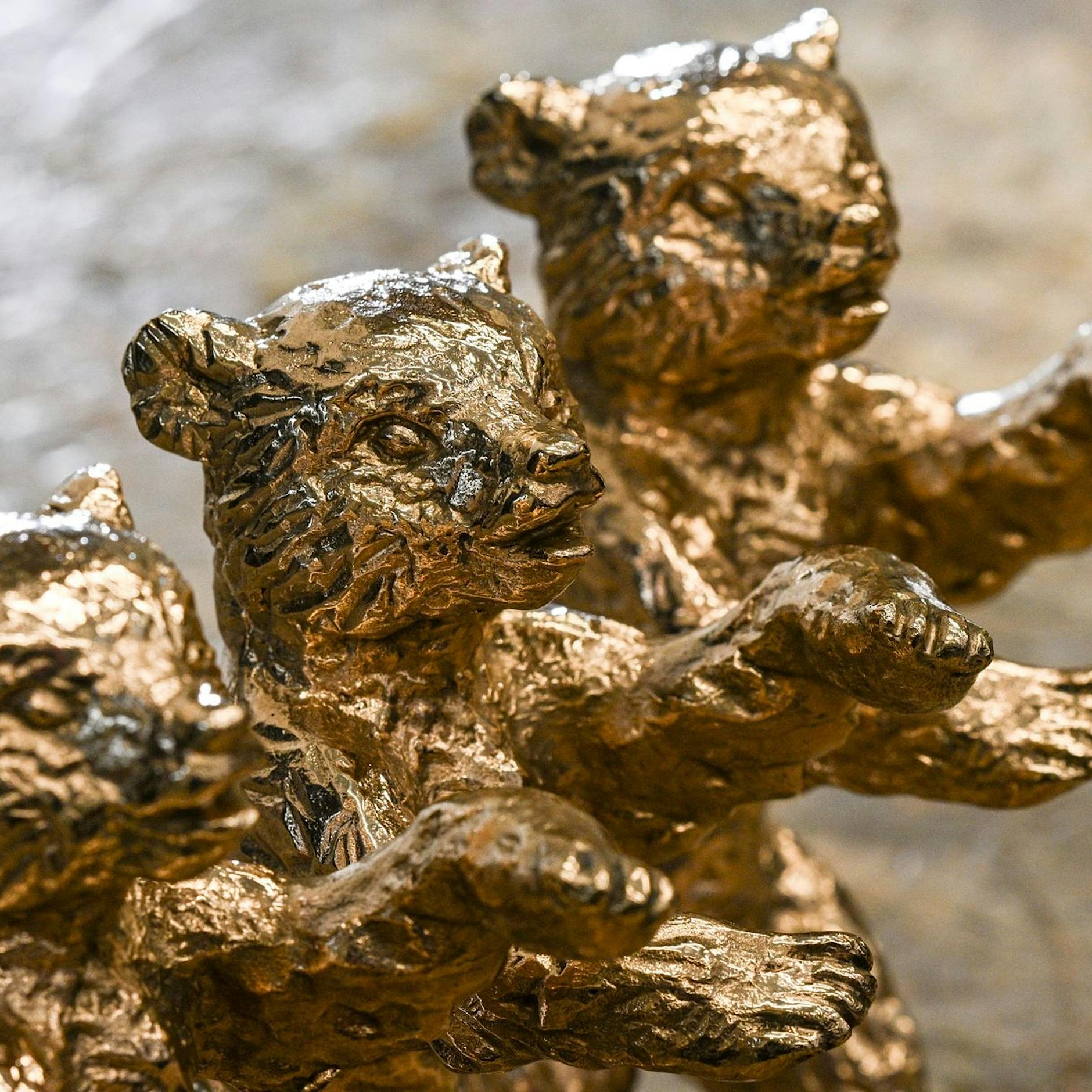 Stars, Filme, Galas! DAS werden die Highlights der Berlinale