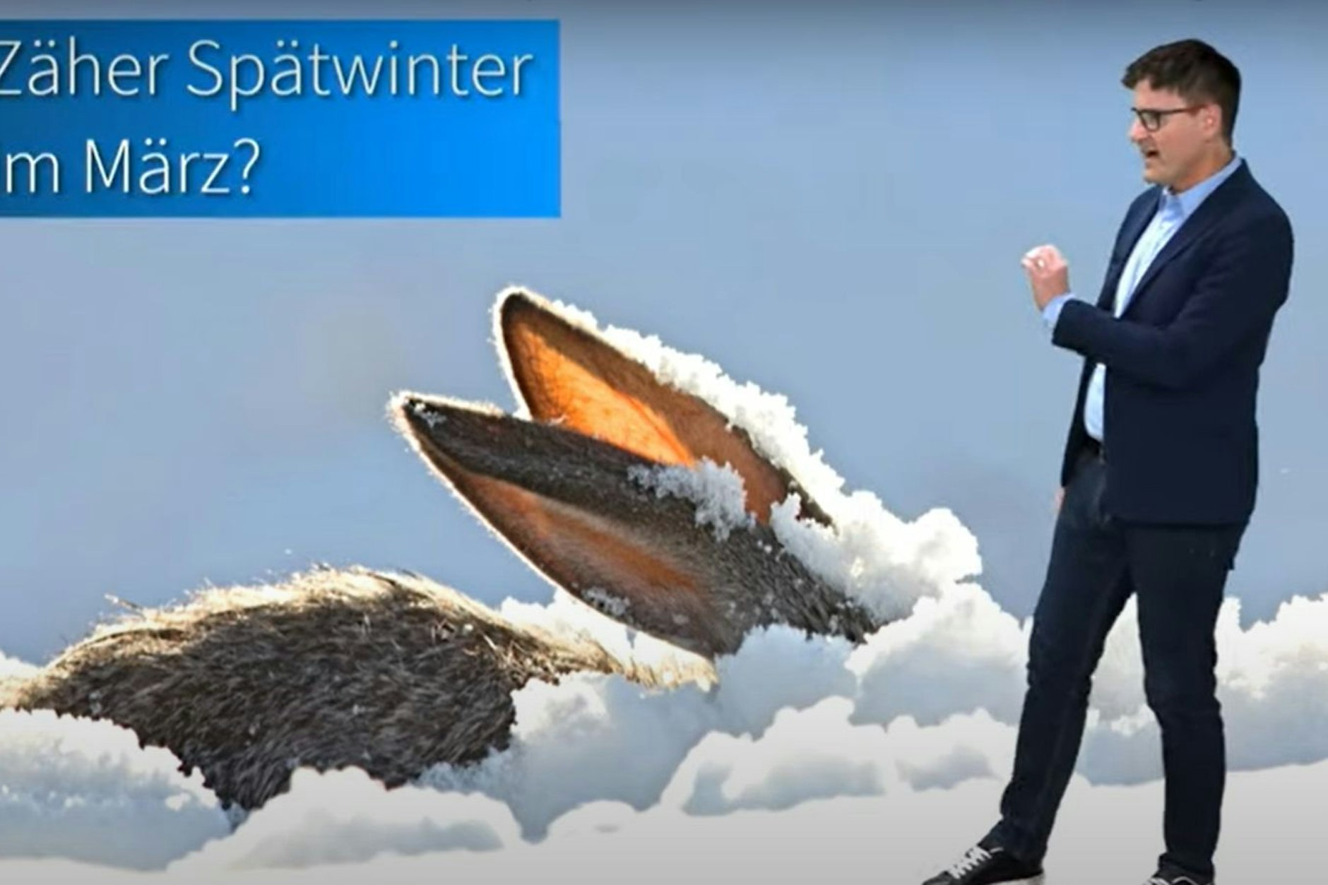 Im Februar lässt sich der Winter wohl nicht mehr blicken. Aber im März könnte es durchaus noch einmal frostig werden, sagt Diplom-Meteorologe Dominik Jung von wetter.net.