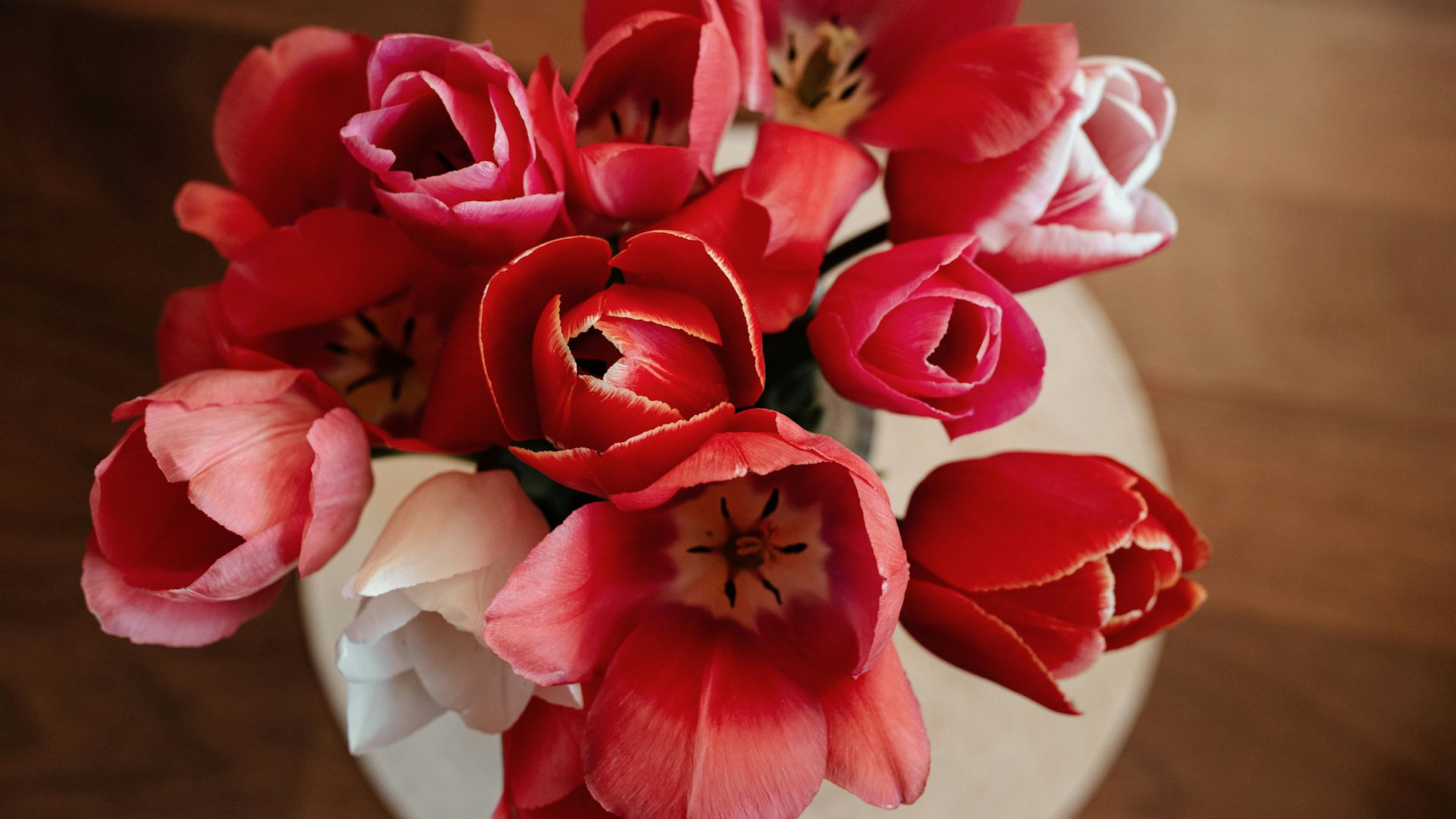Tulpen gibt es in etlichen Farben und Formen – aber wie bleiben die Schnittblumen lange frisch?