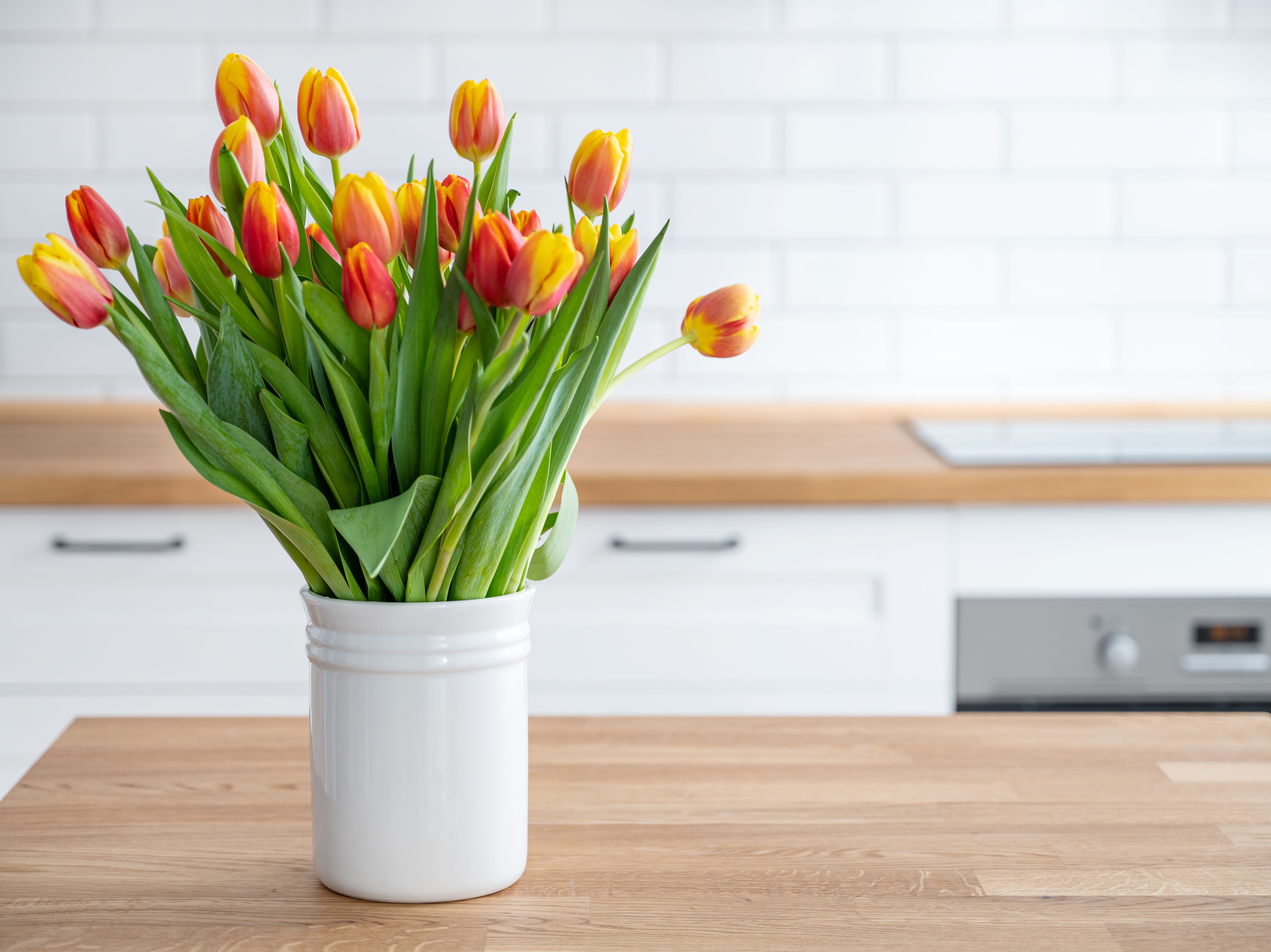 Tulpen lassen Köpfe hängen? So bleiben sie in der Vase länger frisch