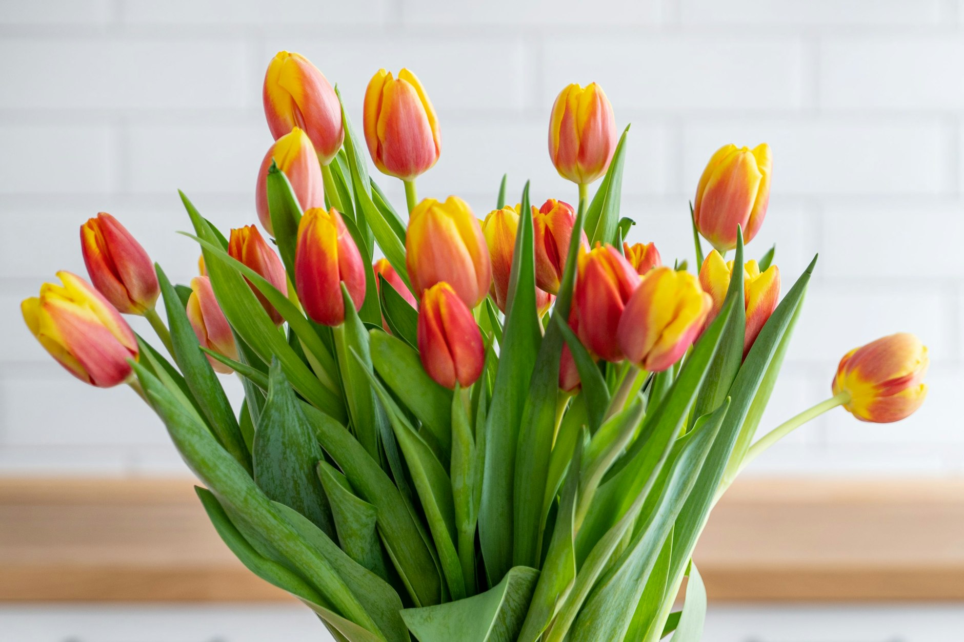 Tulpen sehen wirklich hübsch aus – aber wie bleiben die schönen Blumen wirklich lange frisch?