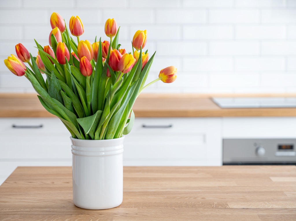 Fünf simple Tipps: So bleiben Tulpen in der Vase viel länger frisch!