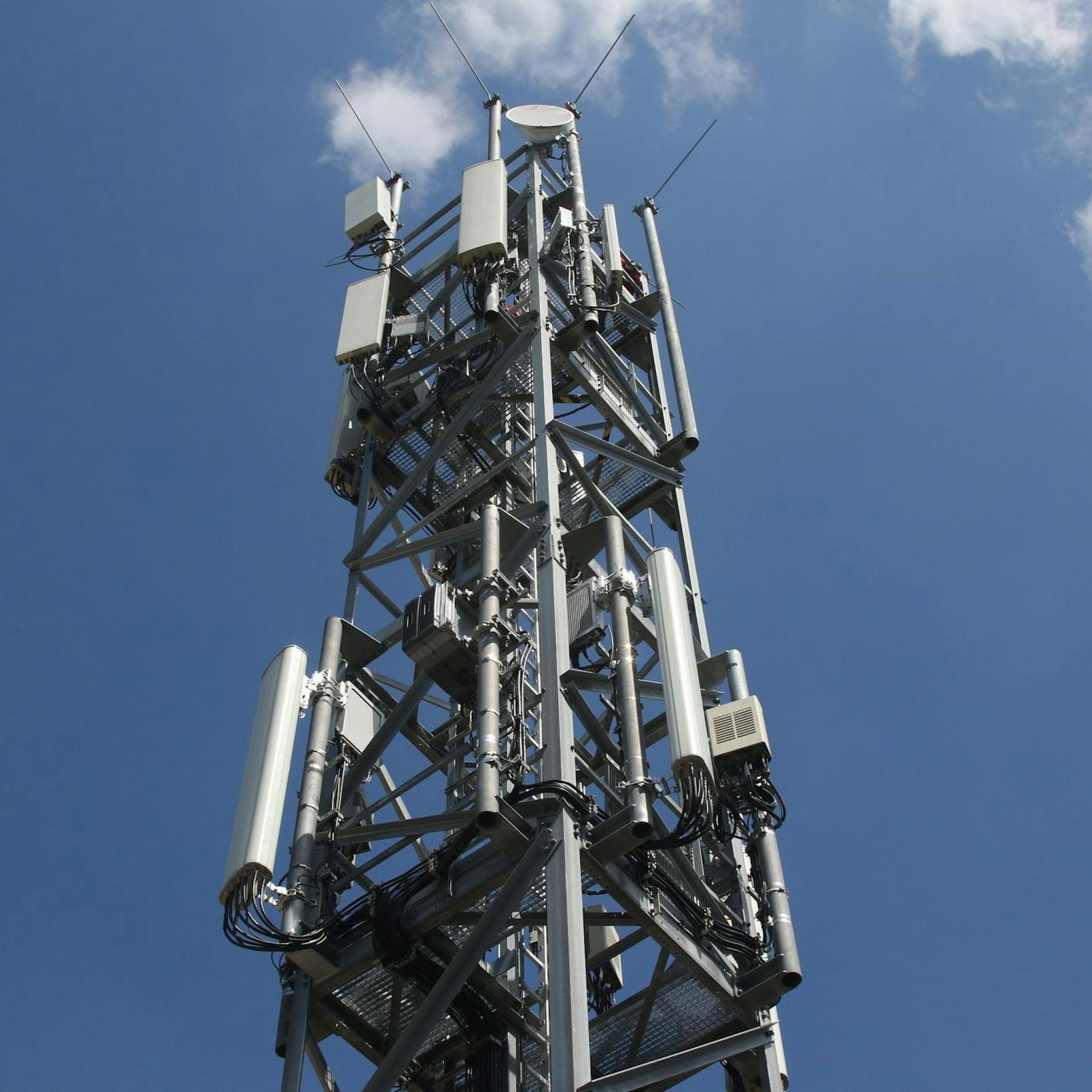 Image - Bundeskabinett verabschiedet internationale Digitalstrategie