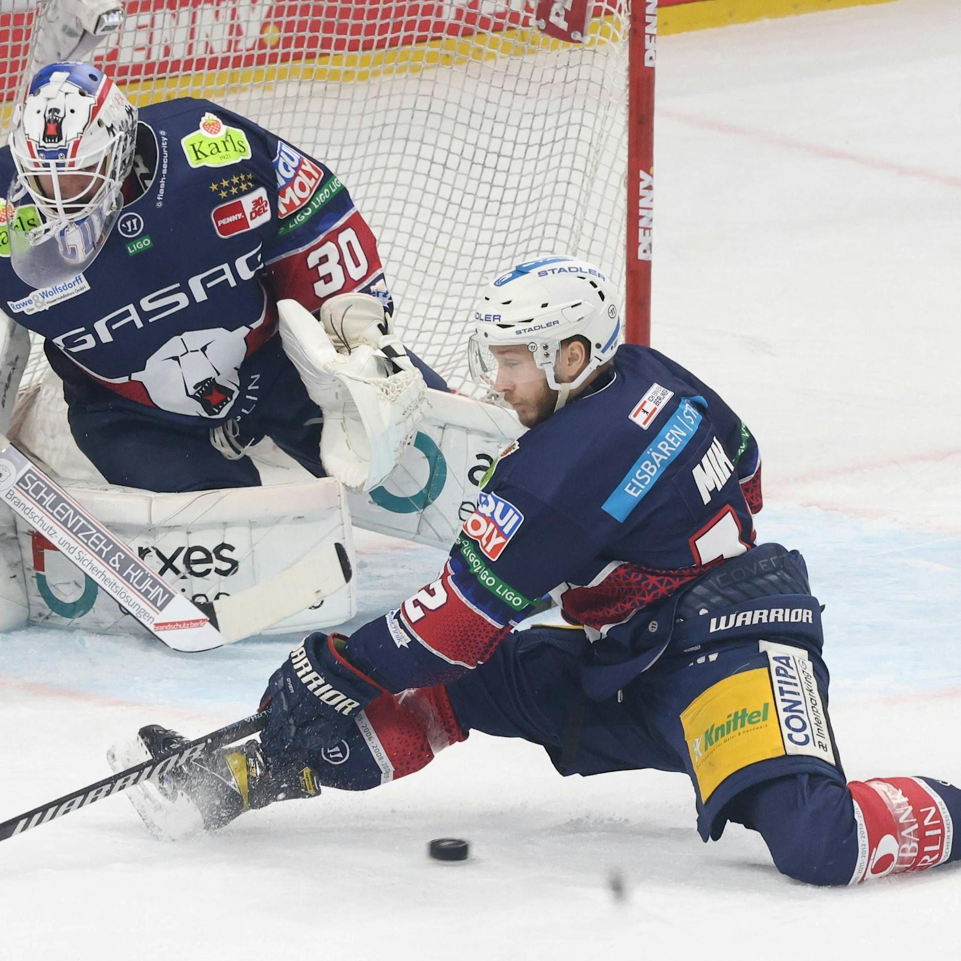 Er kann alles! Bei Eisbär Eric Mik läuft gerade alles richtig schick
