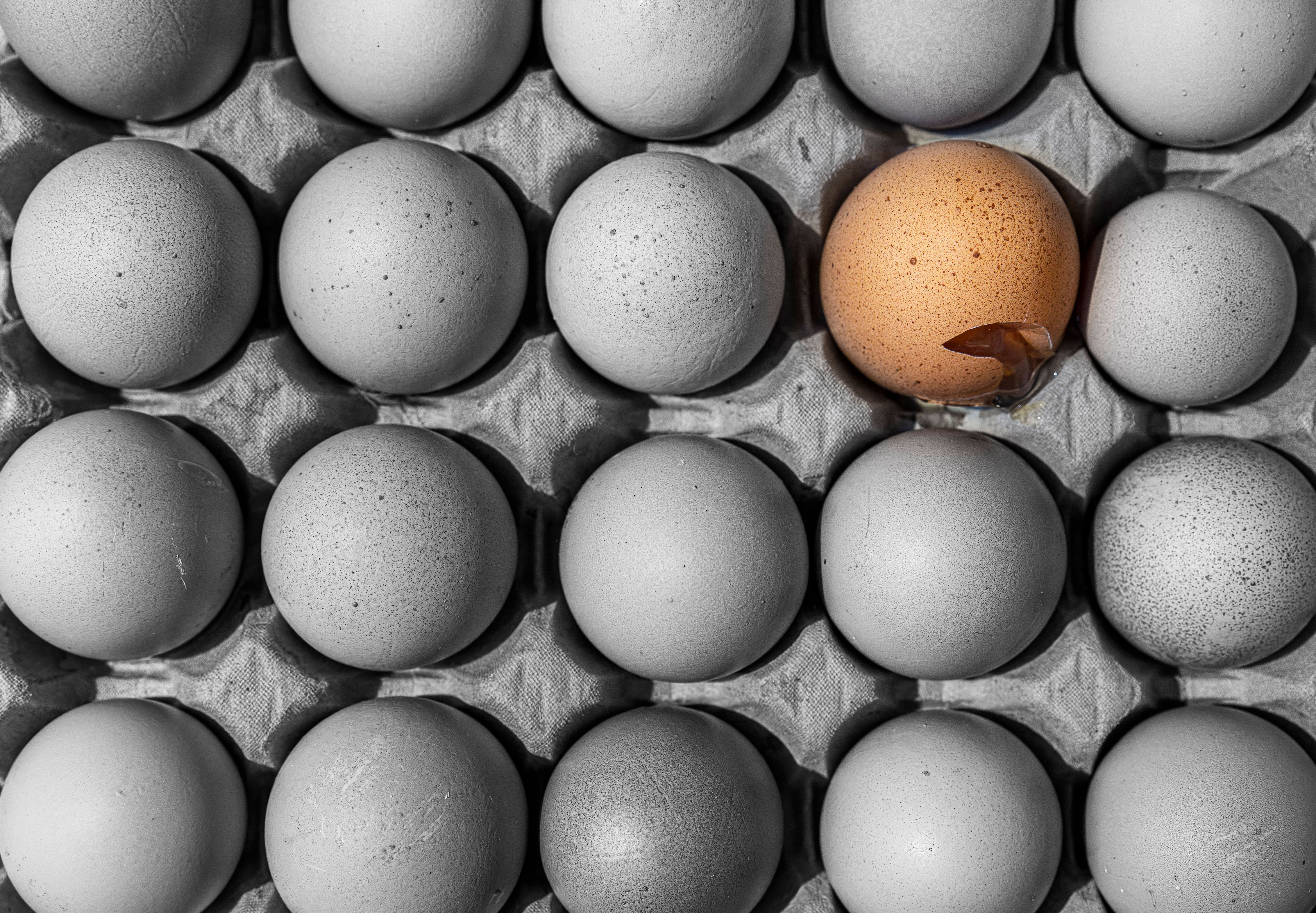 Image - Ei aus dem alten Rom gefunden – innen ist es noch flüssig!