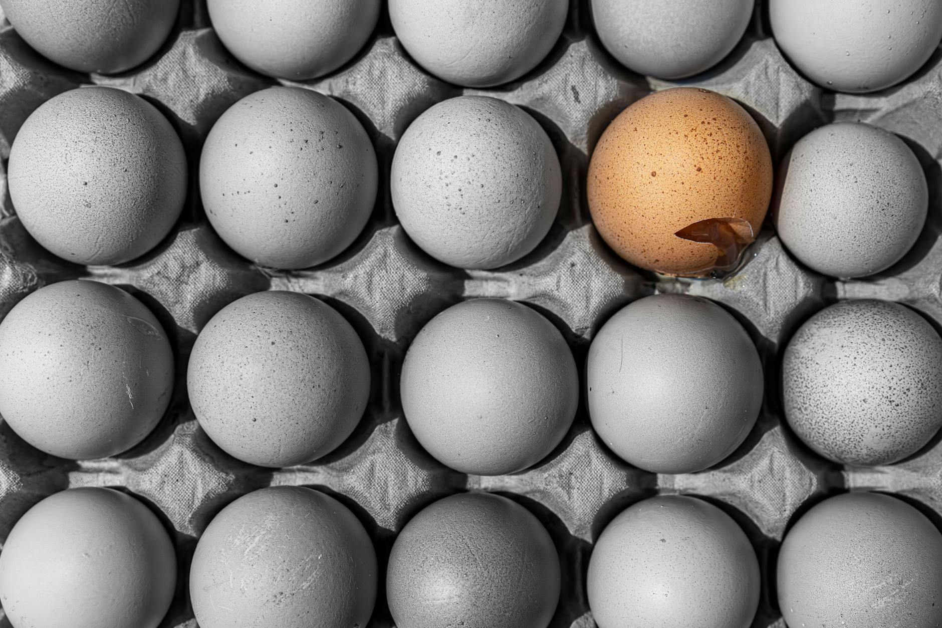 Frühstückseier hat man wahrscheinlich damals schon im Römischen Reich gegessen.