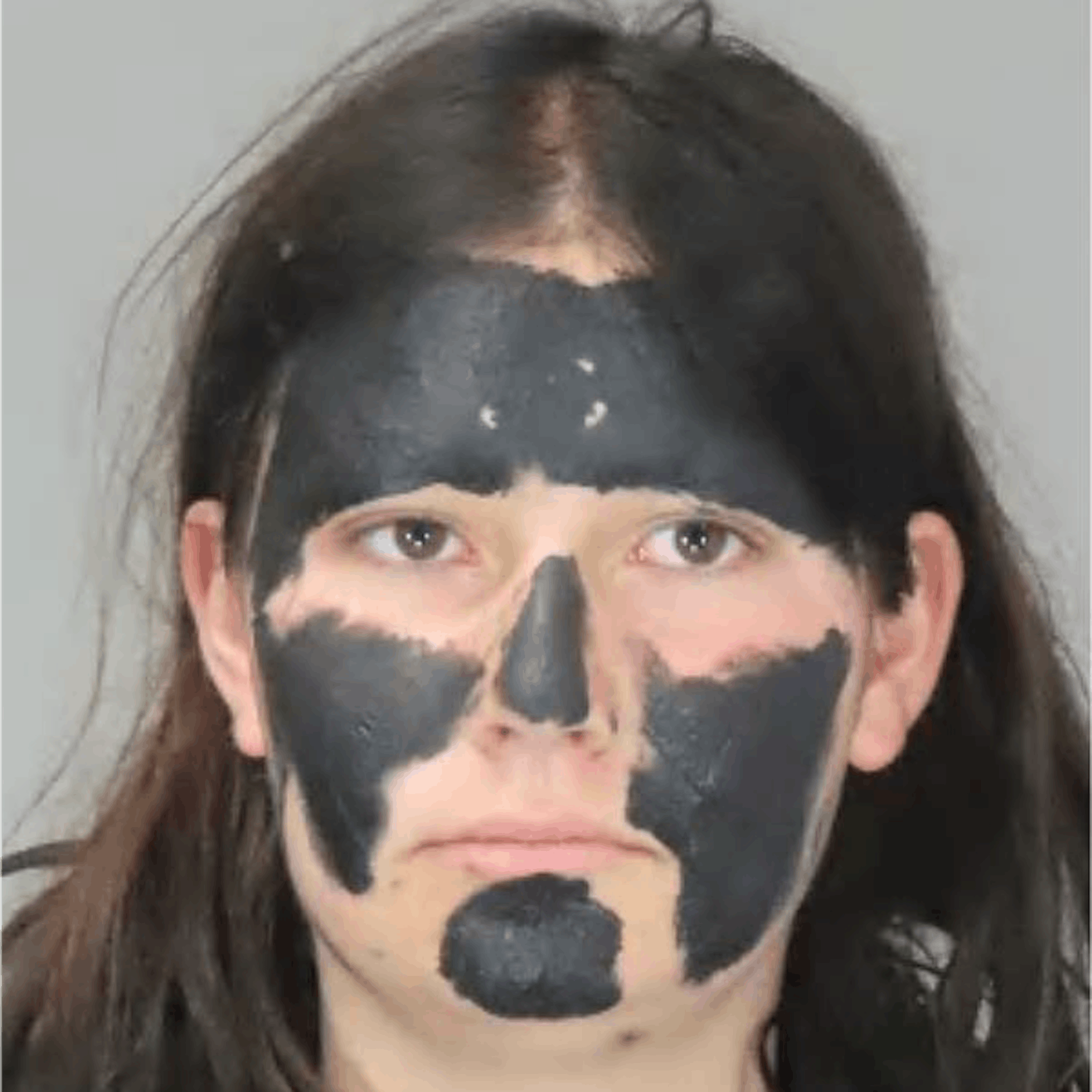 Image - Straßen blockiert: Berliner Polizei fahndet nach Extinction-Rebellion-Aktivistin