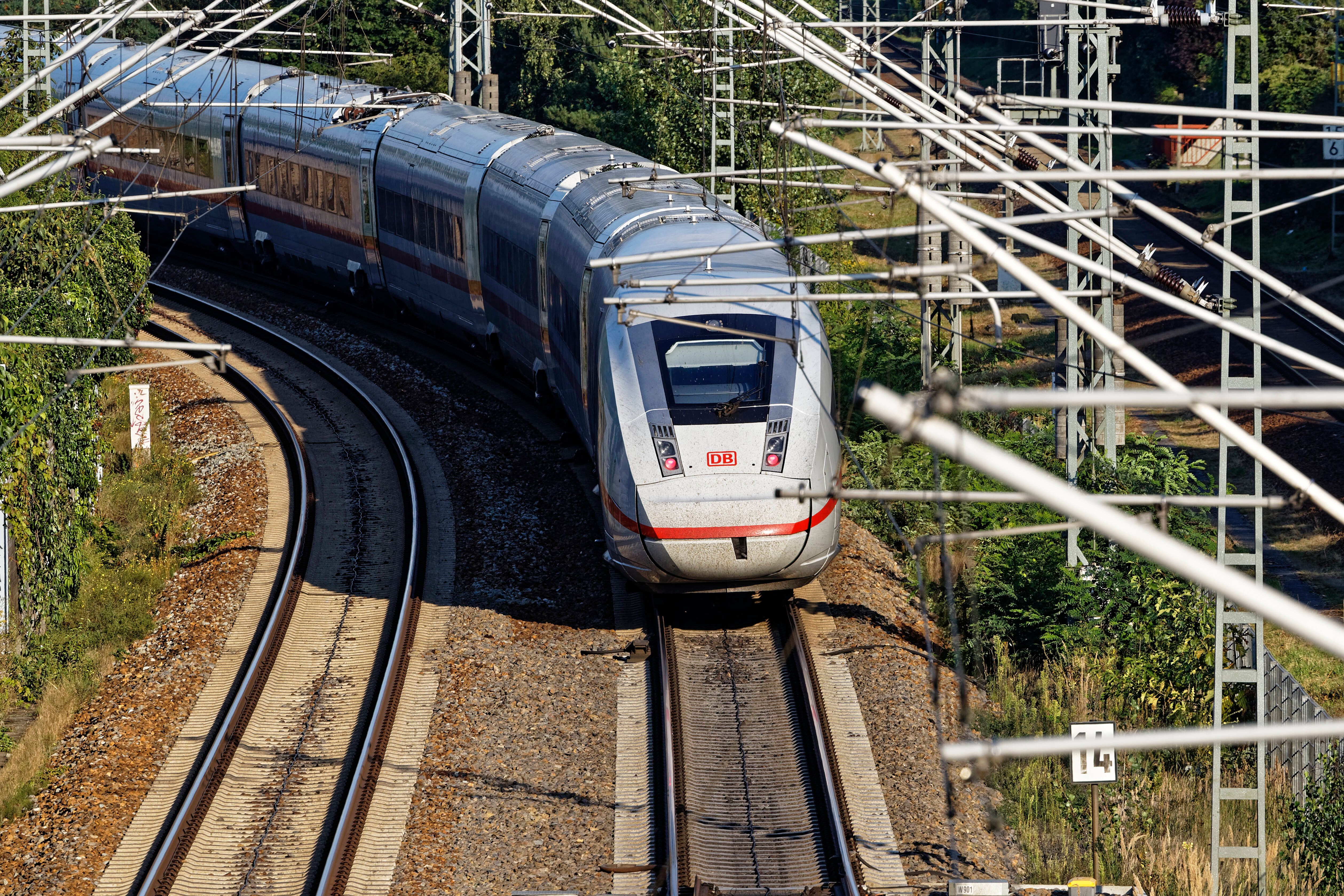 ICE-Verkehr zwischen Berlin und Hannover gestört, S1 kollidiert mit Wildschweinen
