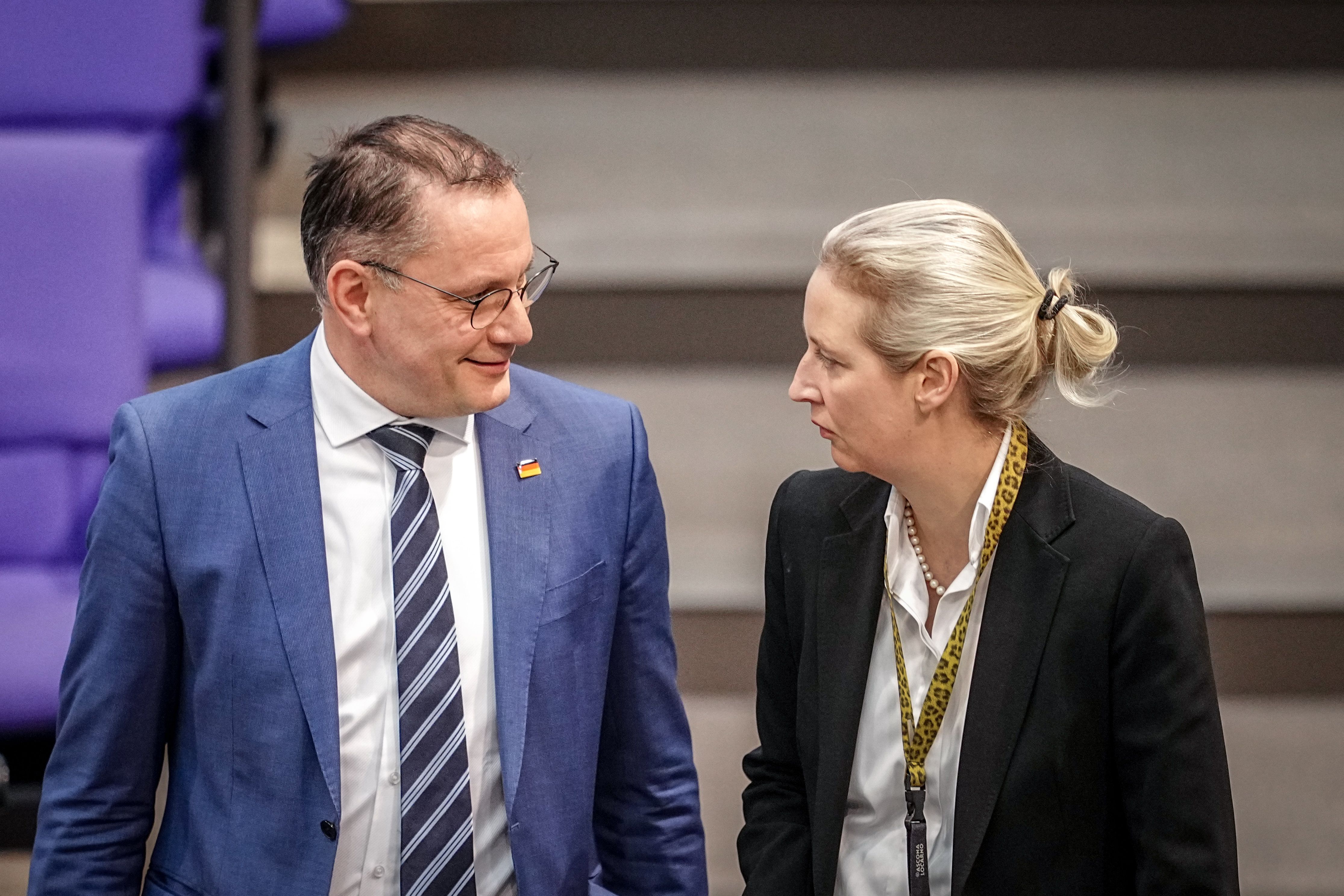 AfD rutscht auf niedrigsten Wert seit Juni ab – aktuelle Umfrage Sonntagstrend