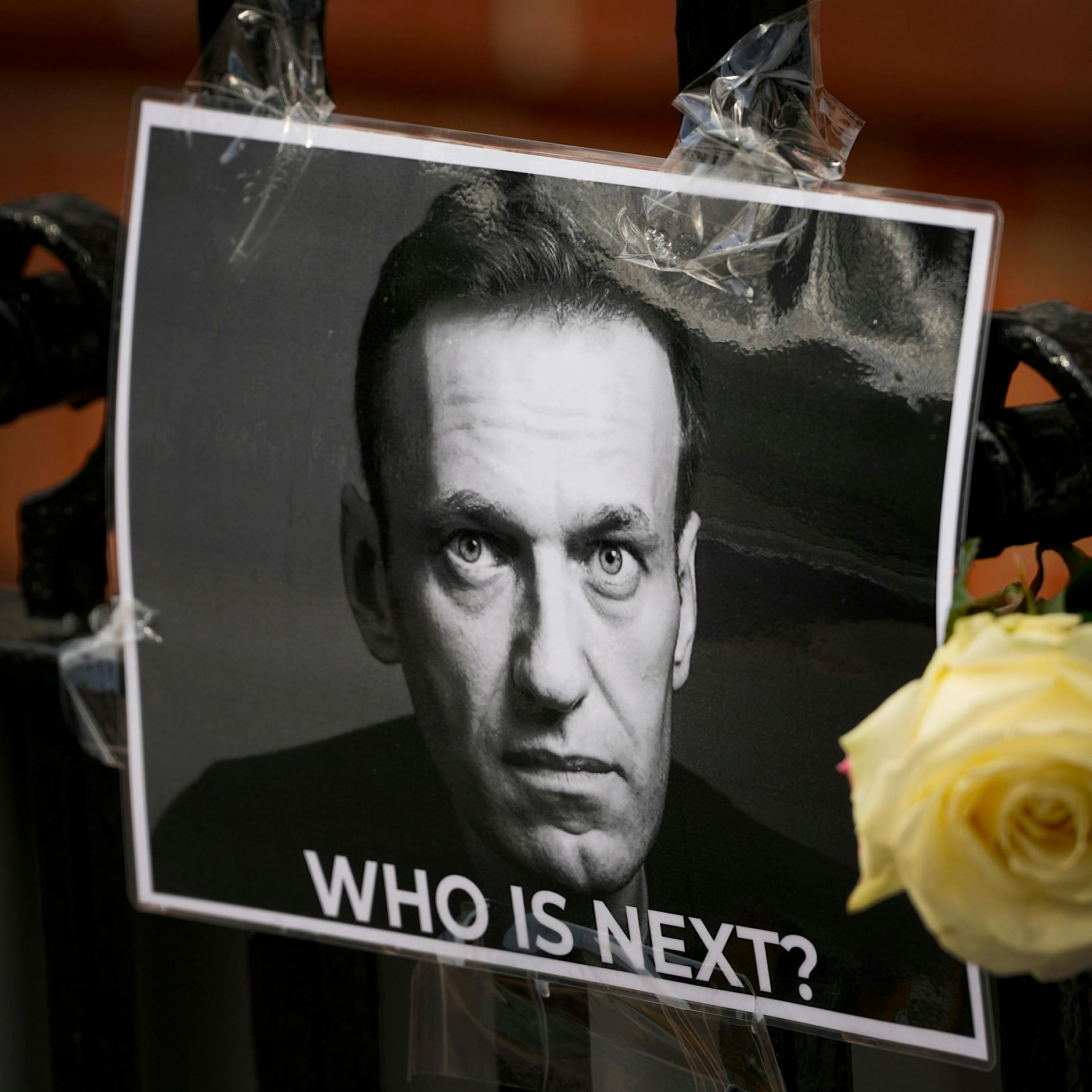 Alexej Nawalny: Warum Putin Angst vor einem Toten hat