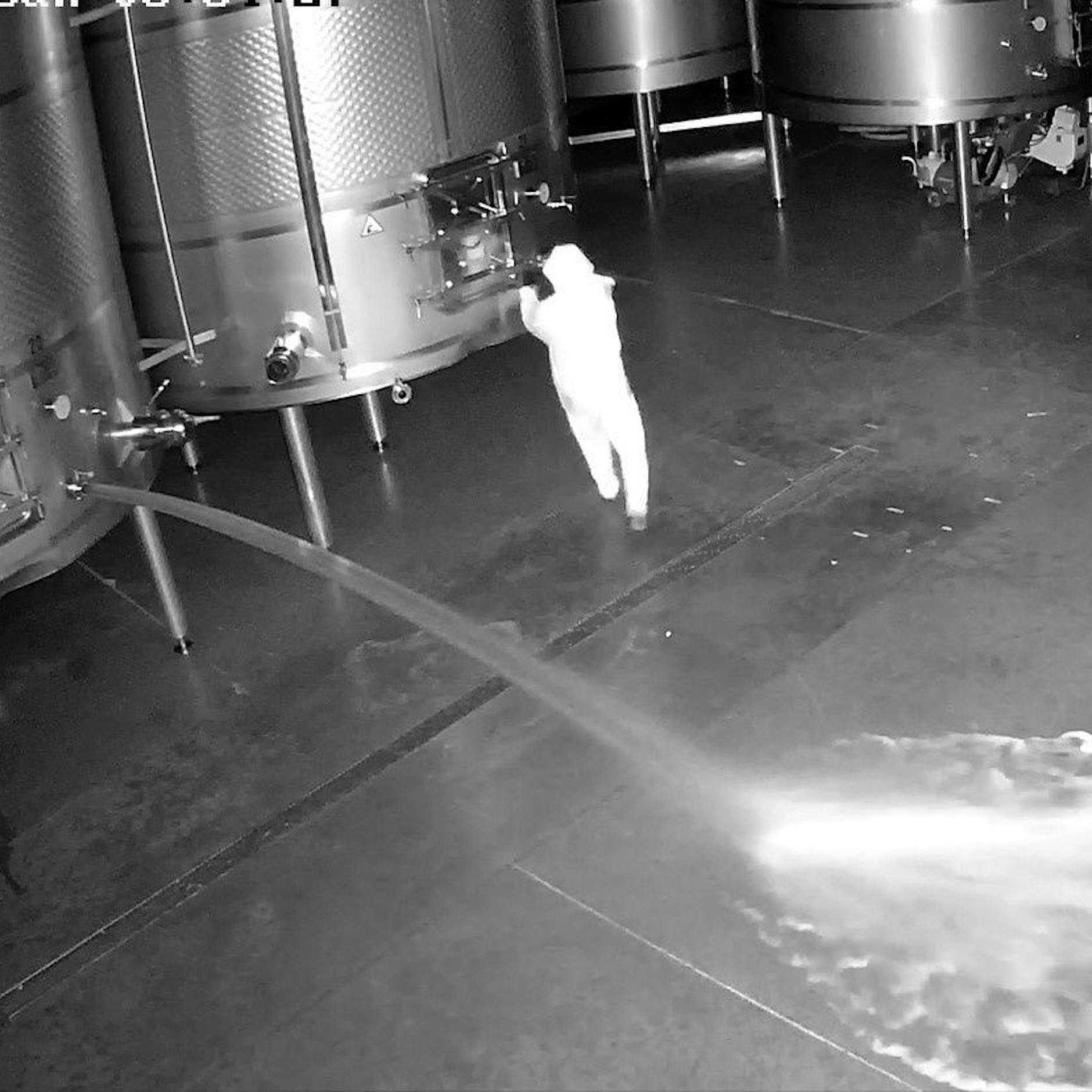 Hier verschüttet ein Einbrecher Wein im Wert von 2,5 Mio. Euro