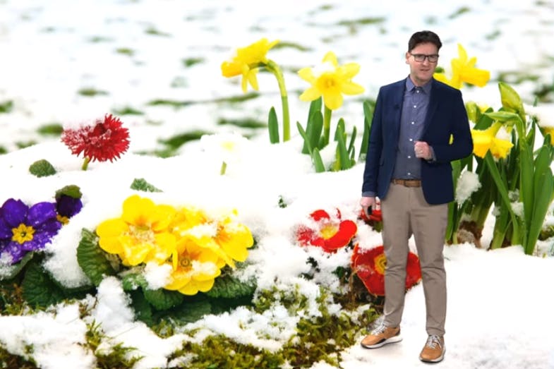 Überall blüht es schon, aber das Wetter schaltet noch mal in den Wintermodus.