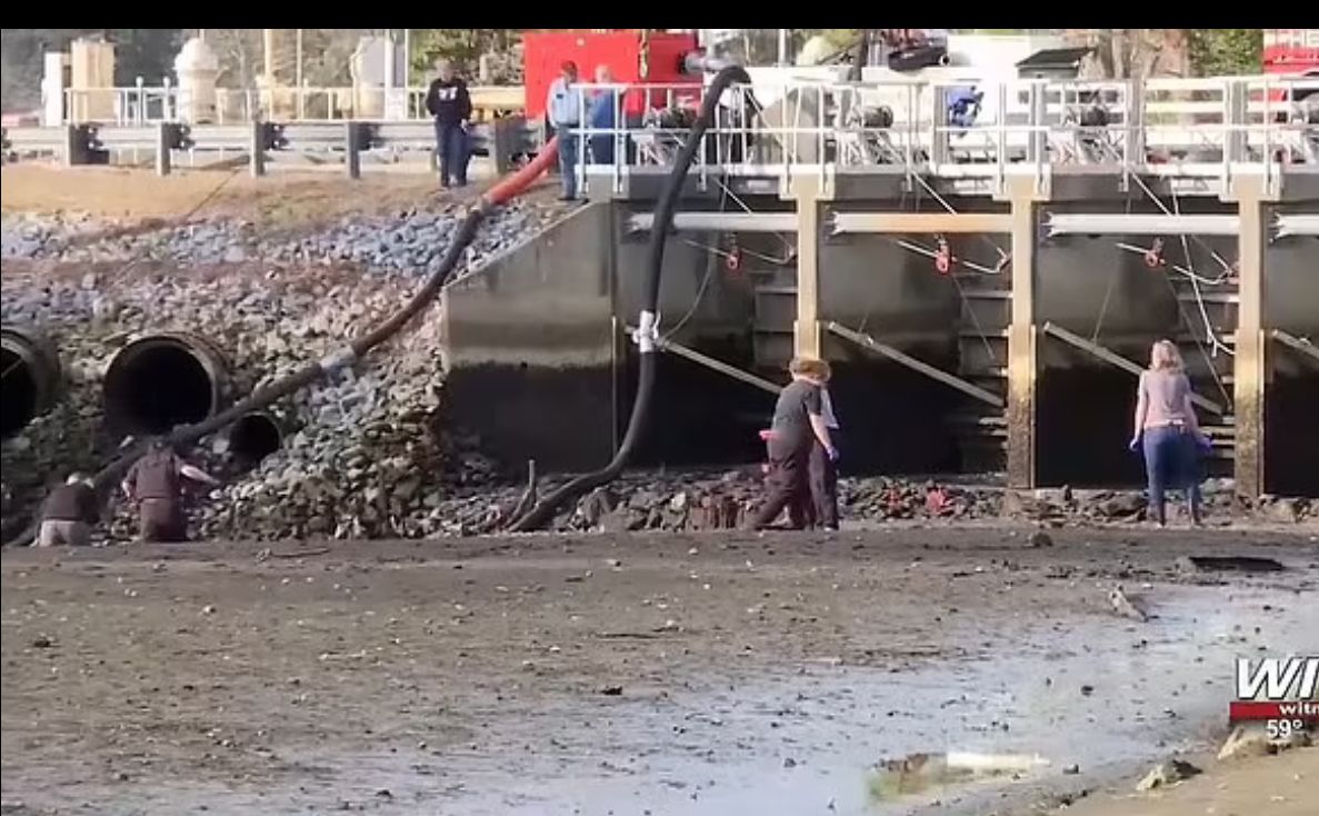 Hobby-Detektiv klärt rätselhaften Vermissten-Fall nach 41 Jahren auf!