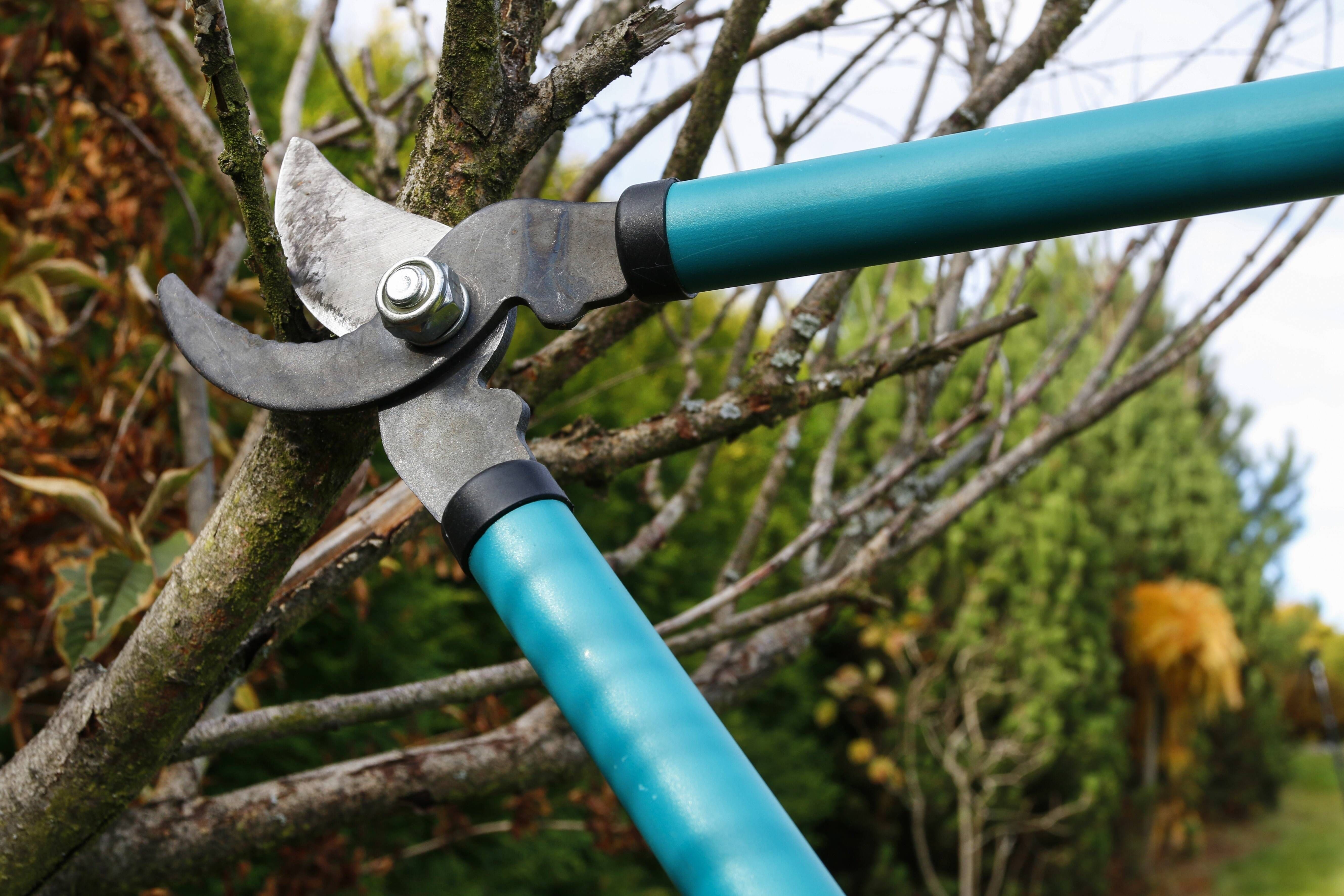 Frühlings-Check für Garten und Balkon: Was Sie JETZT tun sollten