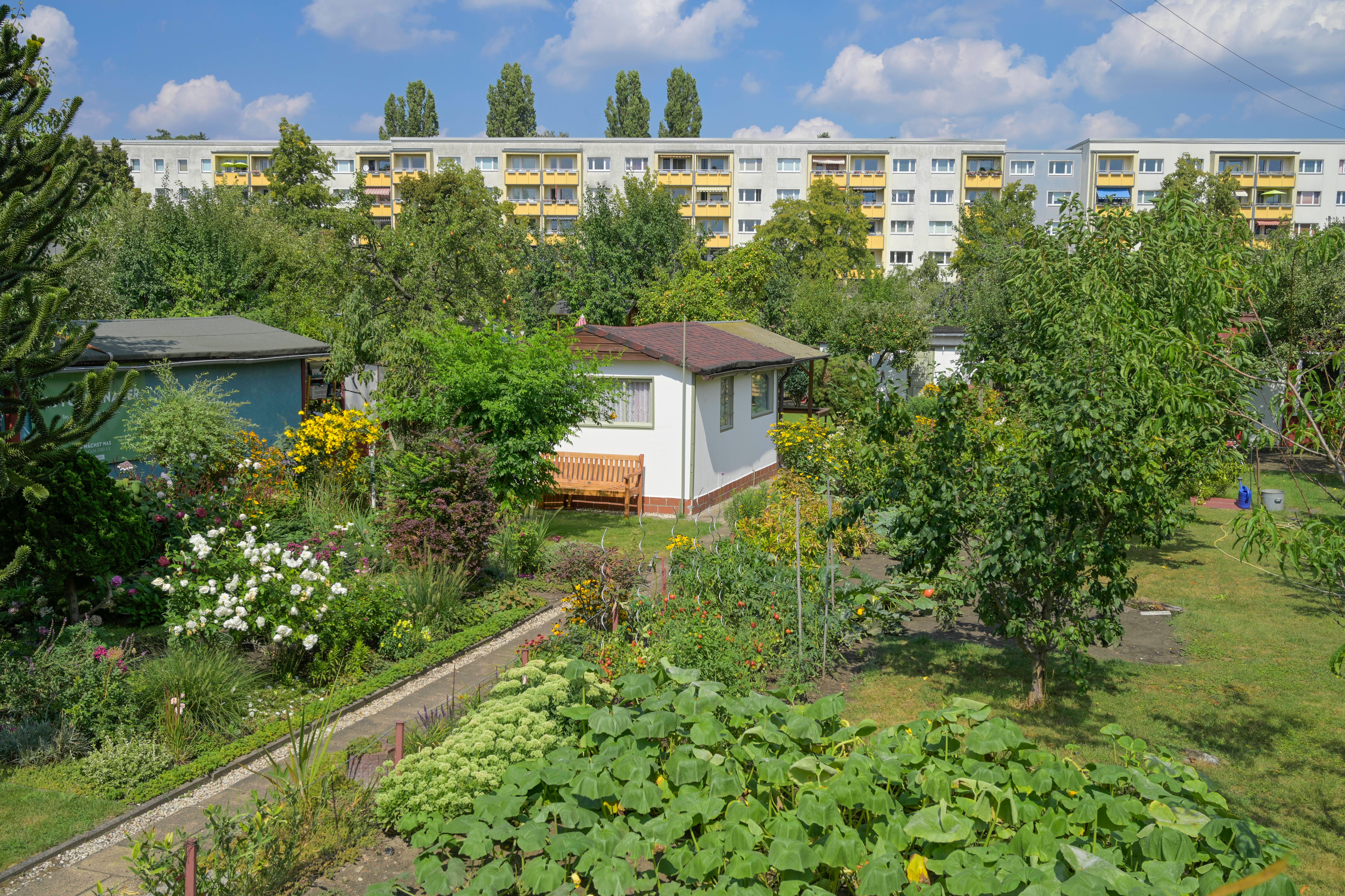 Berliner Gärtner aufgepasst: Jetzt beim Landeswettbewerb für Kleingarten teilnehmen