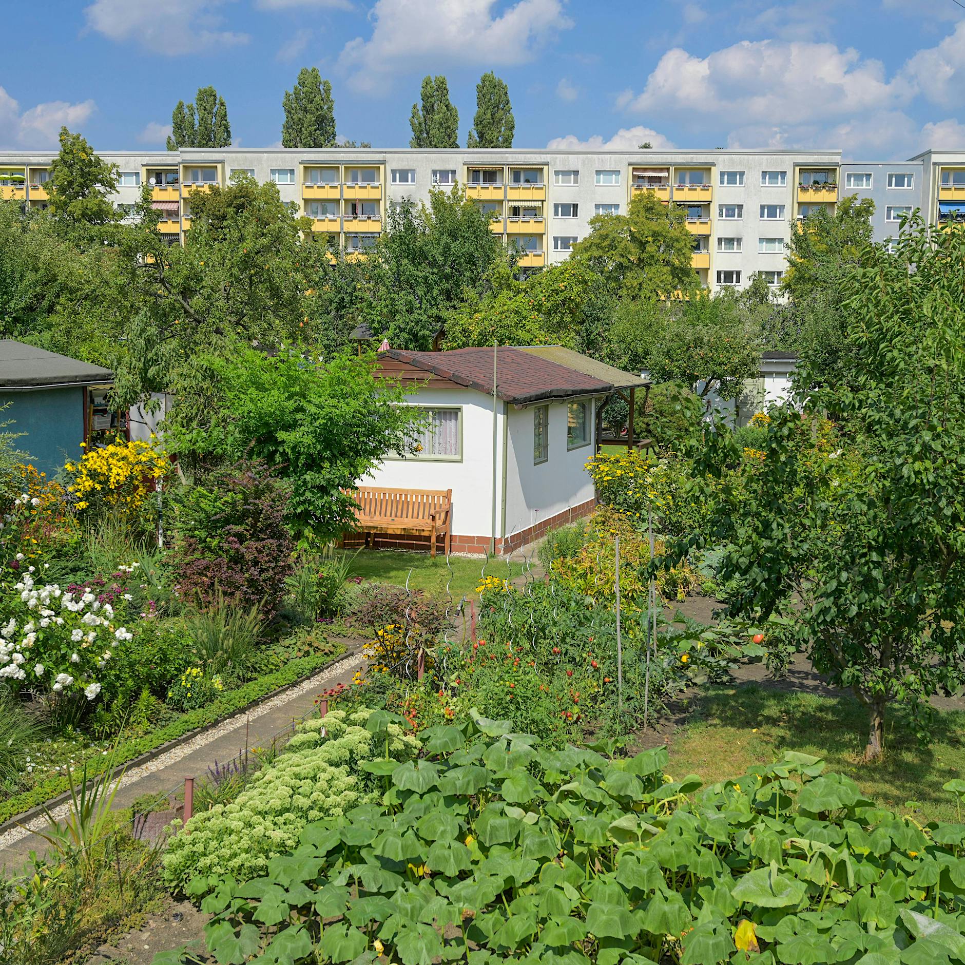 Berliner Gärtner aufgepasst: Jetzt beim Landeswettbewerb für Kleingarten teilnehmen