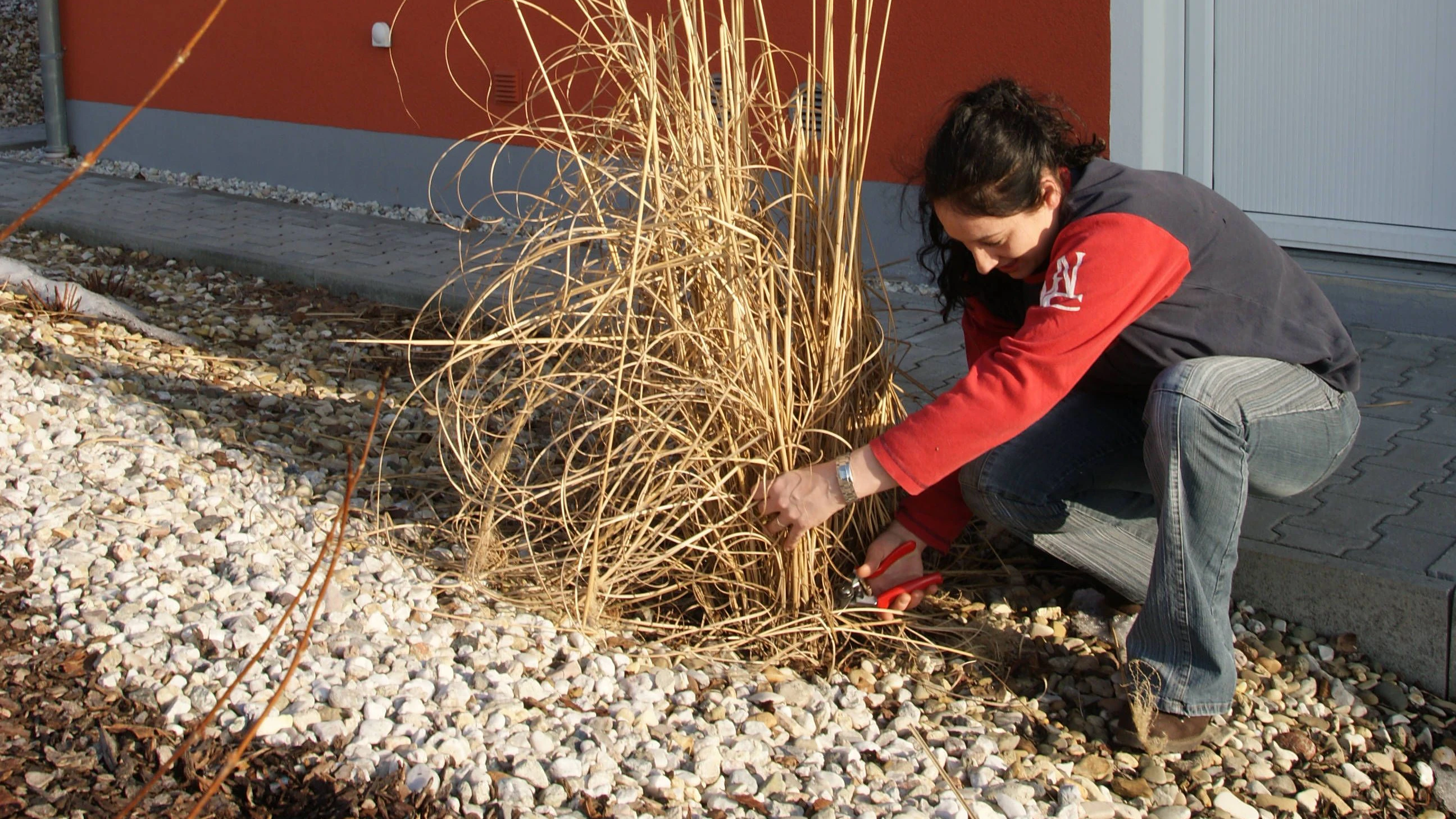 Im Garten steht im Frühling ein großzügiger Rückschnitt für viele Stauden an.