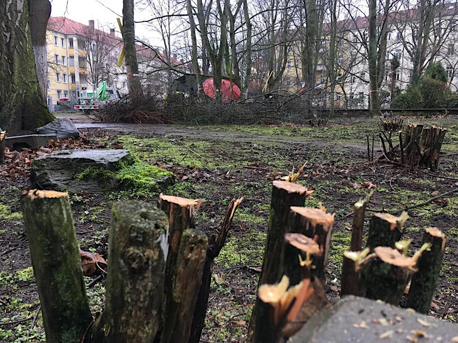 Kettensägen schaffen Tatsachen in den grünen Höfen in Pankow.