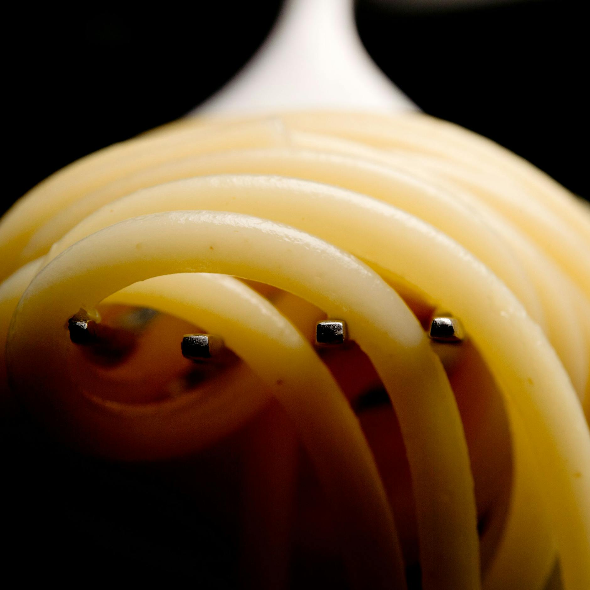 Öko-Test: Bio-Spaghetti versagen im Lebensmittel-Test – Schimmelpilze und Glyphosat