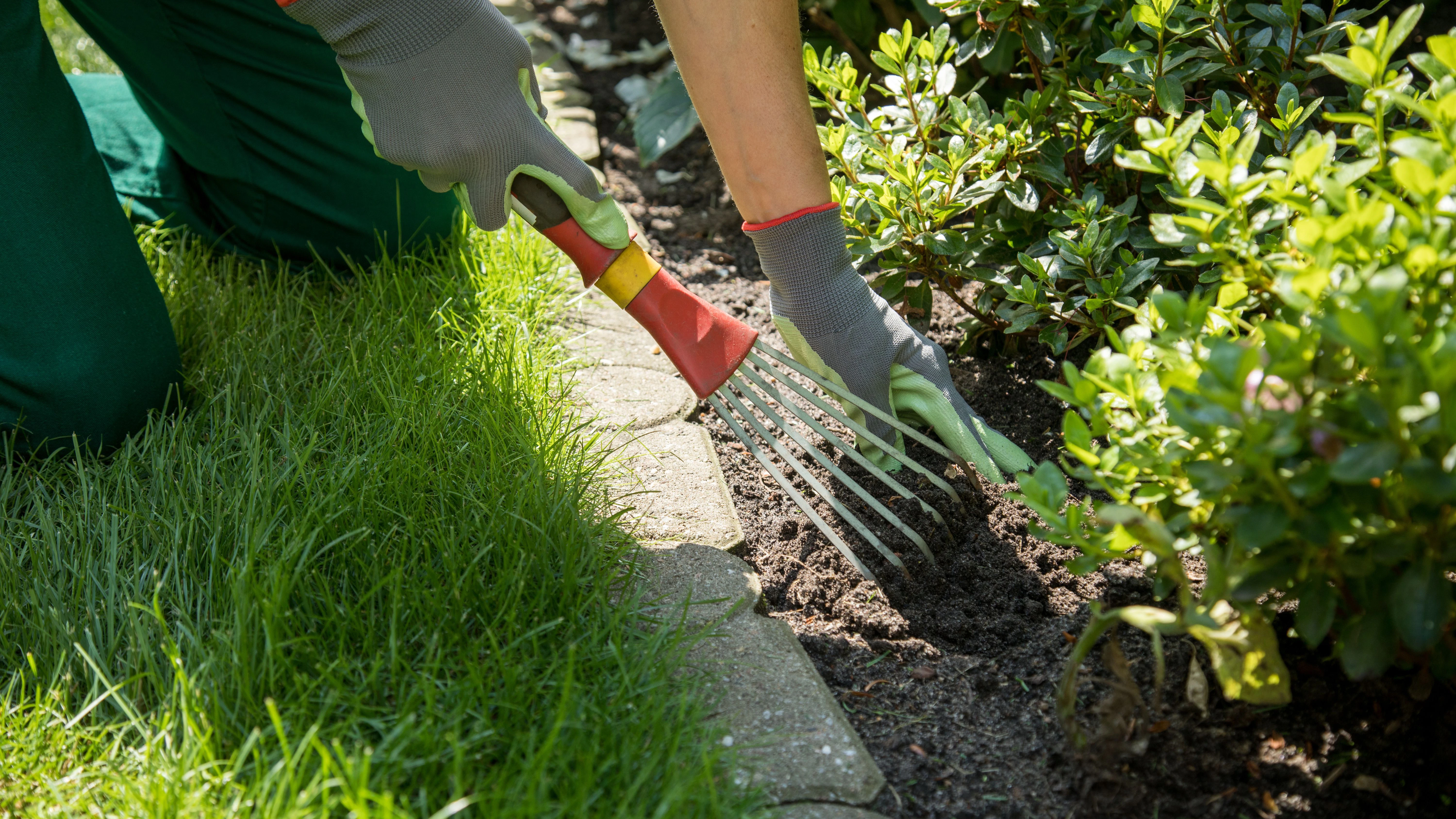 Jetzt ist die richtige Zeit, sich um die Pflege der Beete im Garten zu kümmern.