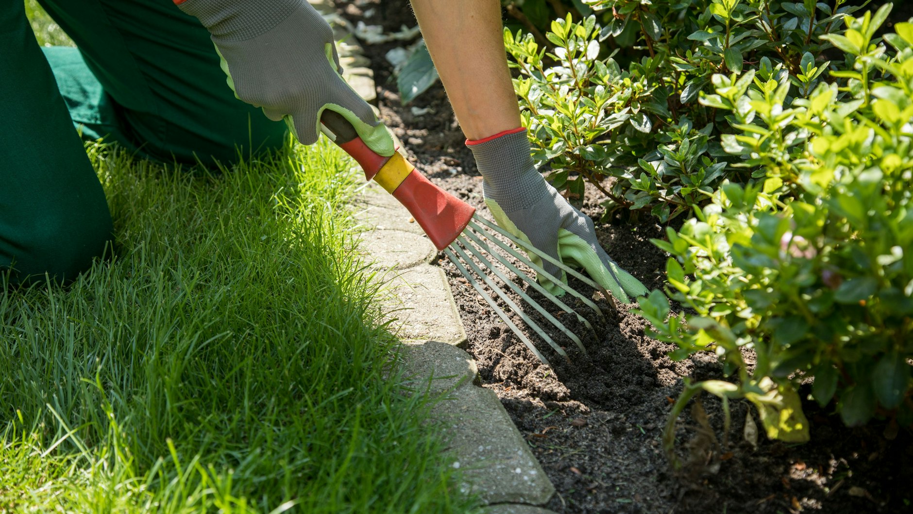 Jetzt ist die richtige Zeit, sich um die Pflege der Beete im Garten zu kümmern.