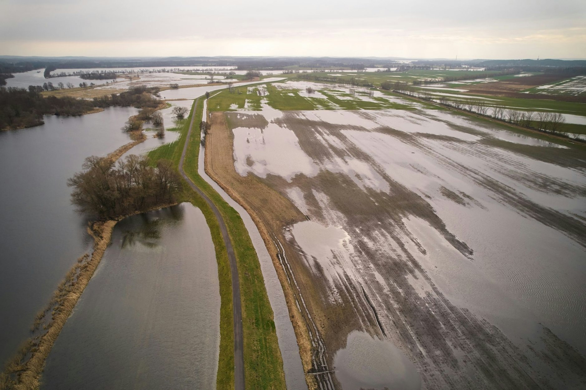 Die Havelwiesen bei Schmergow im Landkreis Potsdam-Mittelmark stehen fast vollständig unter Wasser. 