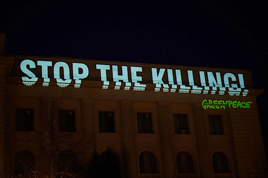 Zum Zweiten Jahrestag des Beginns des Ukraine-Krieges projiziert Greenpeace den Satz "Stop the killing!" an die Fassade der russischen Botschaft in Berlin.  