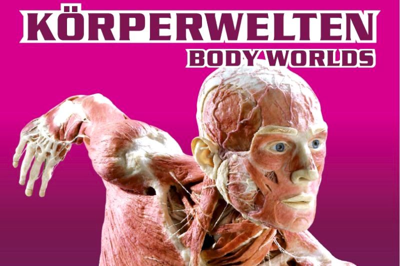 Museumssonntag am 3. November in Berlin mit freiem Eintritt 5 Tipps