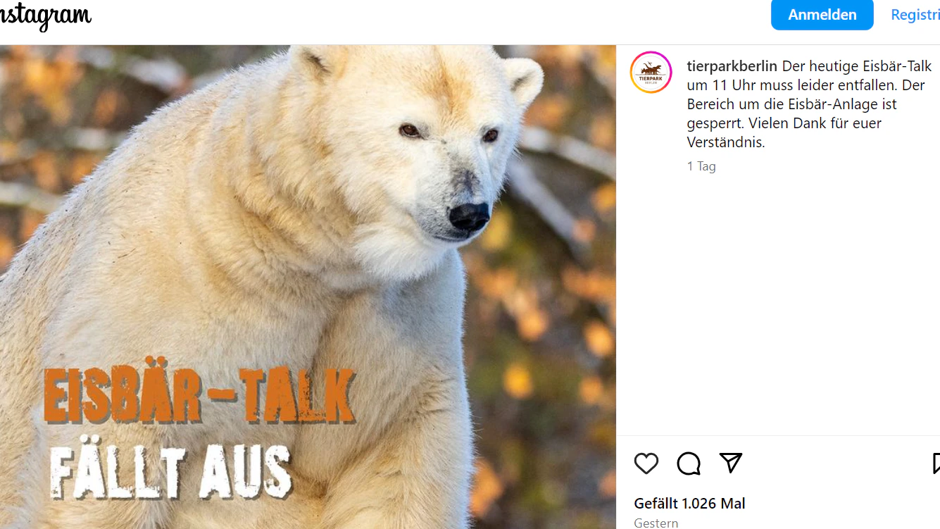 Die Mitteilung des Tierparks auf Instagram