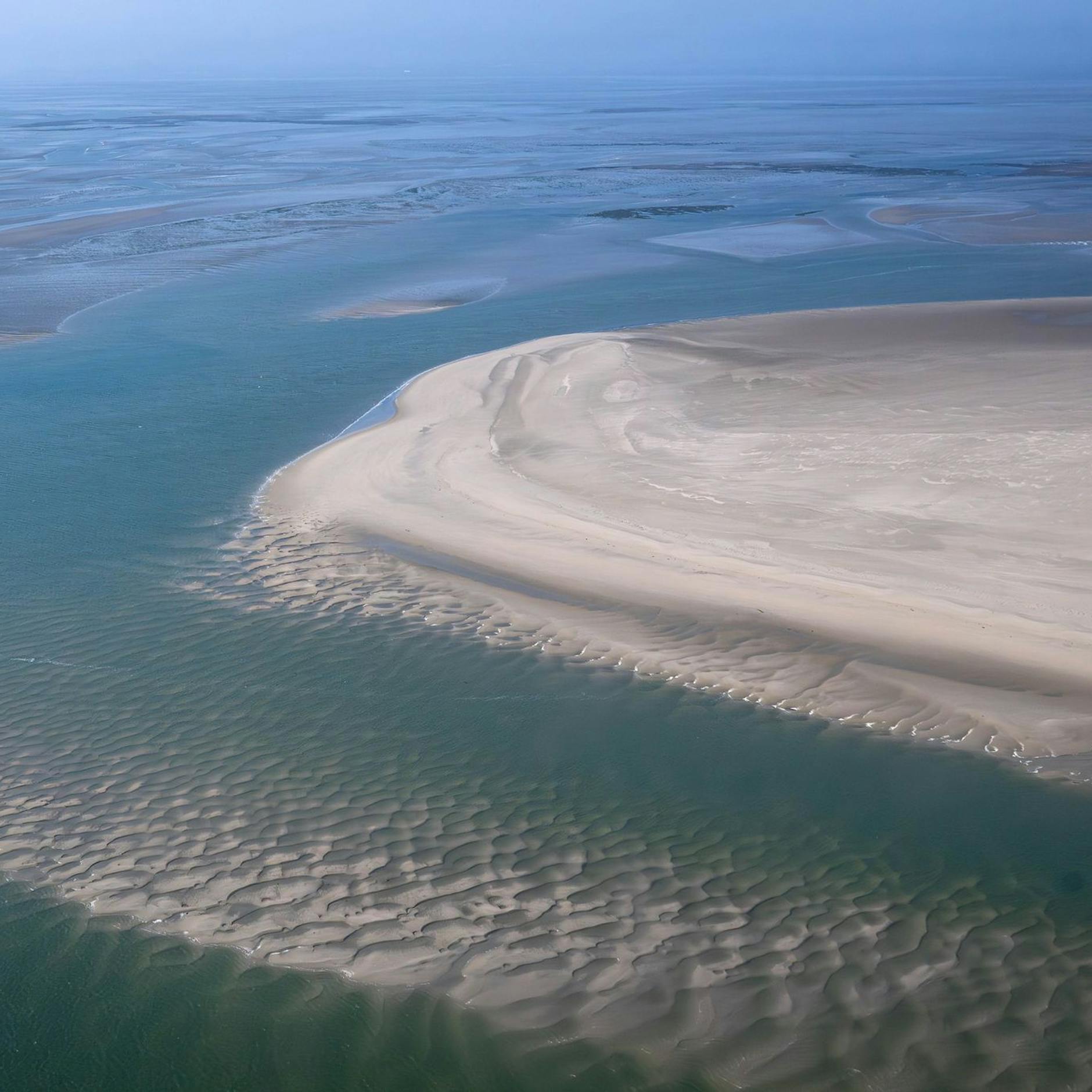 Image - Klimakrise: „Beispiellose Veränderungen“ im Wattenmeer