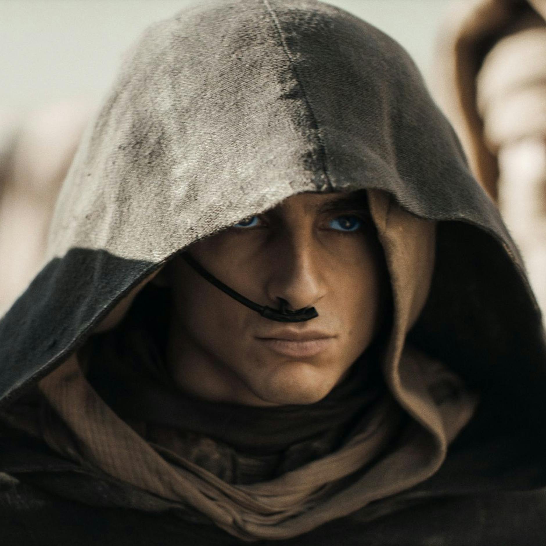 Image - „Dune 2“ mit Timothée Chalamet kommt ins Kino: Ein Heiland wider Willen