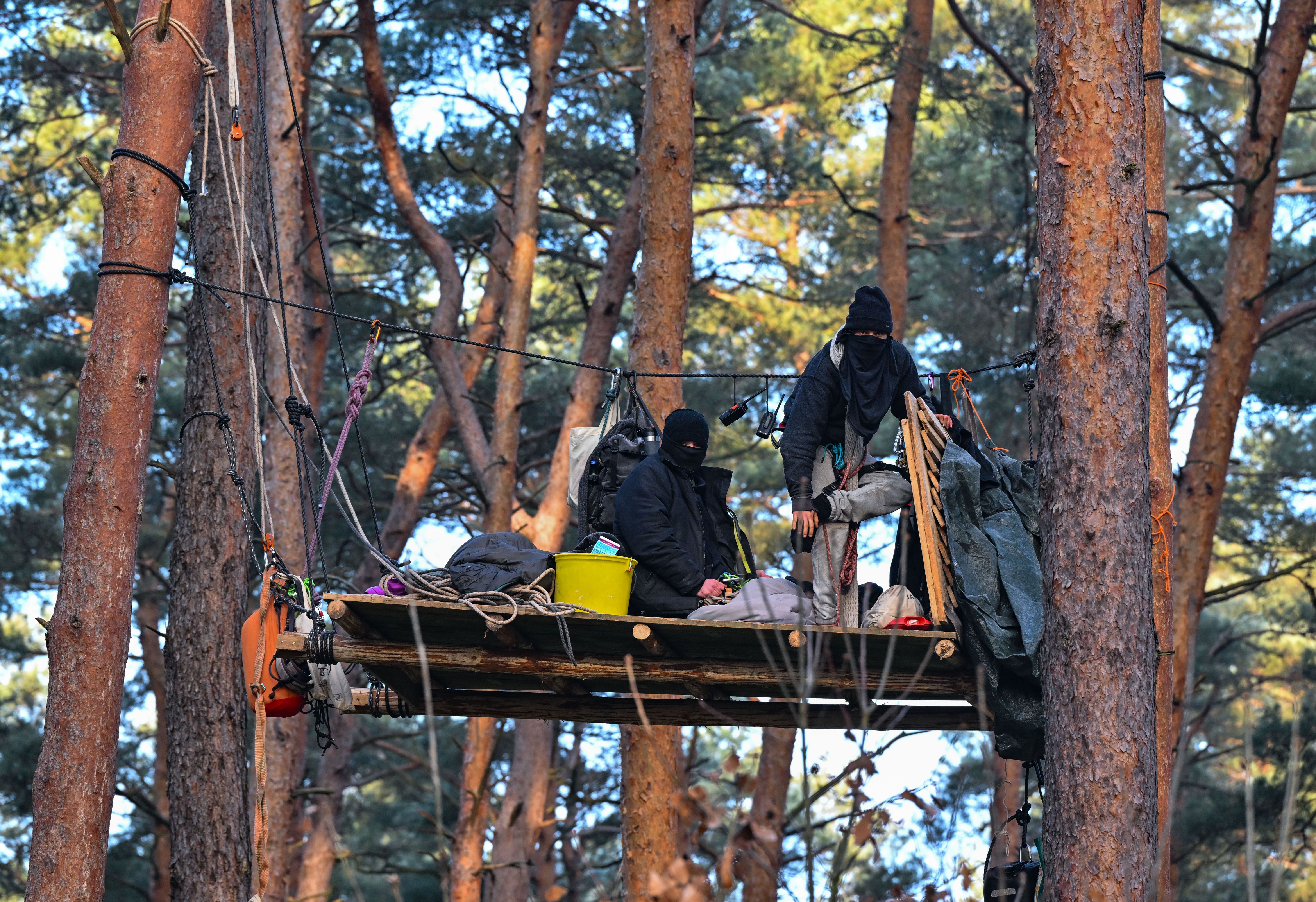 Tesla in Grünheide: Aktivisten besetzen Waldstück