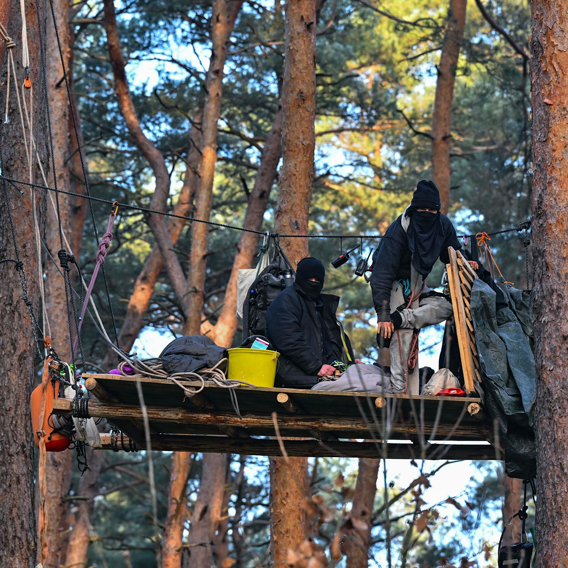 Tesla in Grünheide: Aktivisten besetzen Waldstück