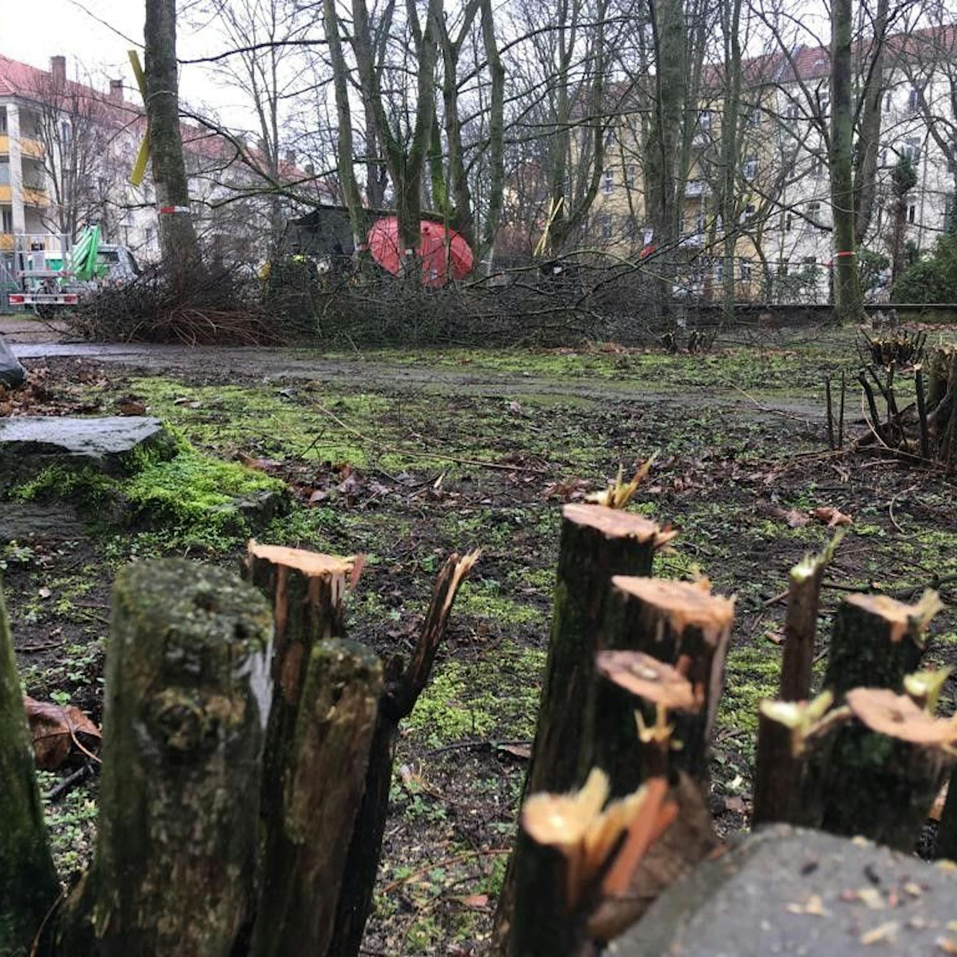 Grüne Höfe in Pankow: Keine Baum-Fällung bis zum Herbst?