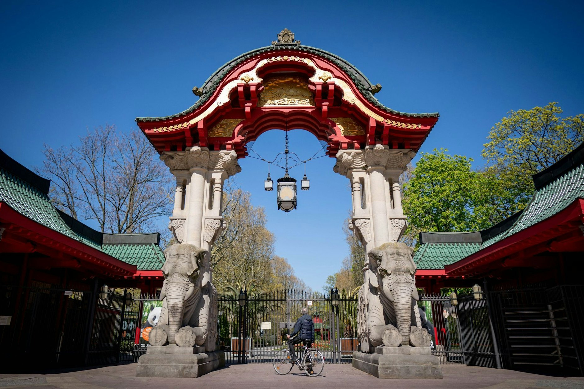 Der Berliner Zoo erhöht seine Preise – auf bis zu 25 Euro für ein Ticket. Wer frühzeitig plant, kann dabei an Eintritt sparen.