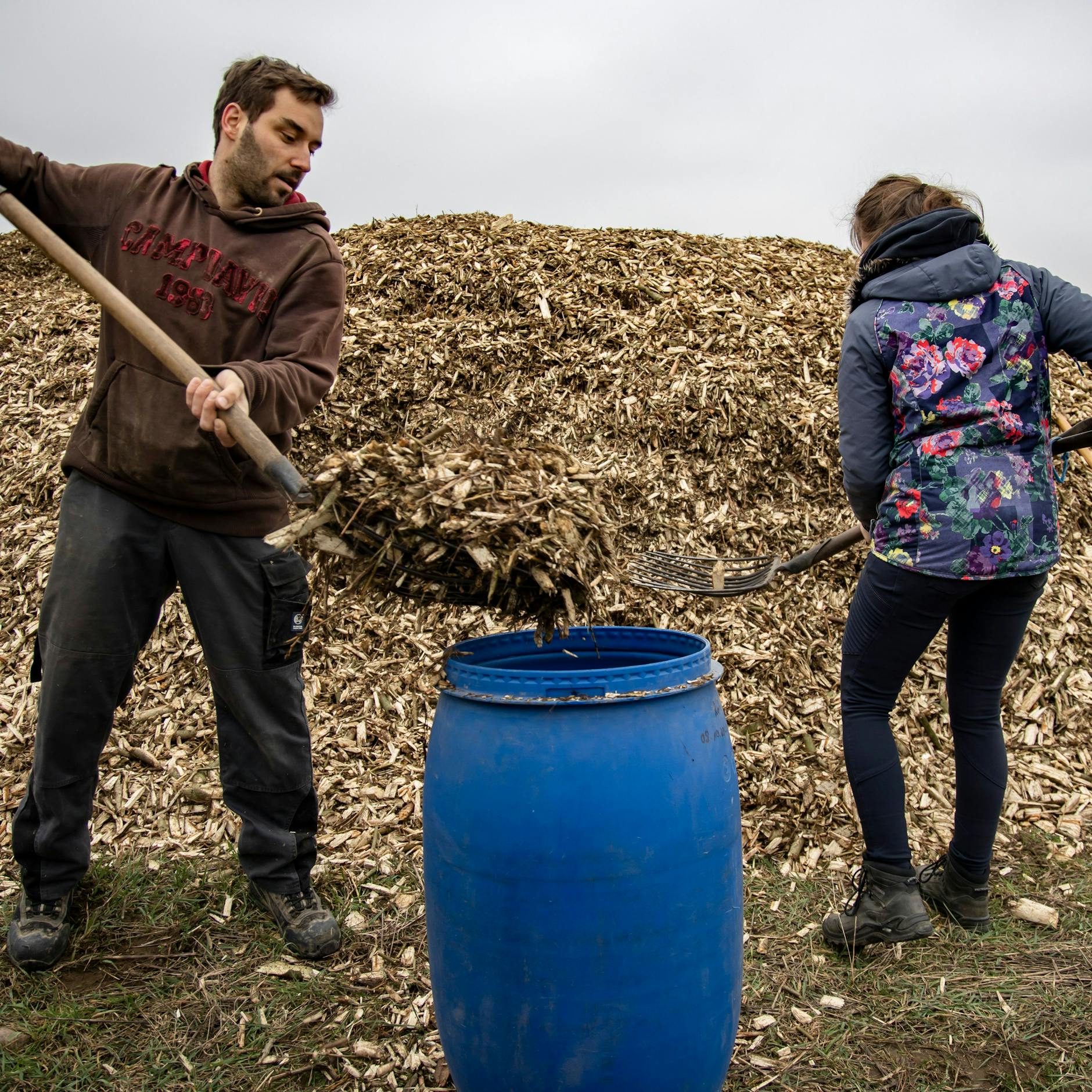 Image - Energieholz vor Berlin – eine echte Alternative zu Öl und Gas?