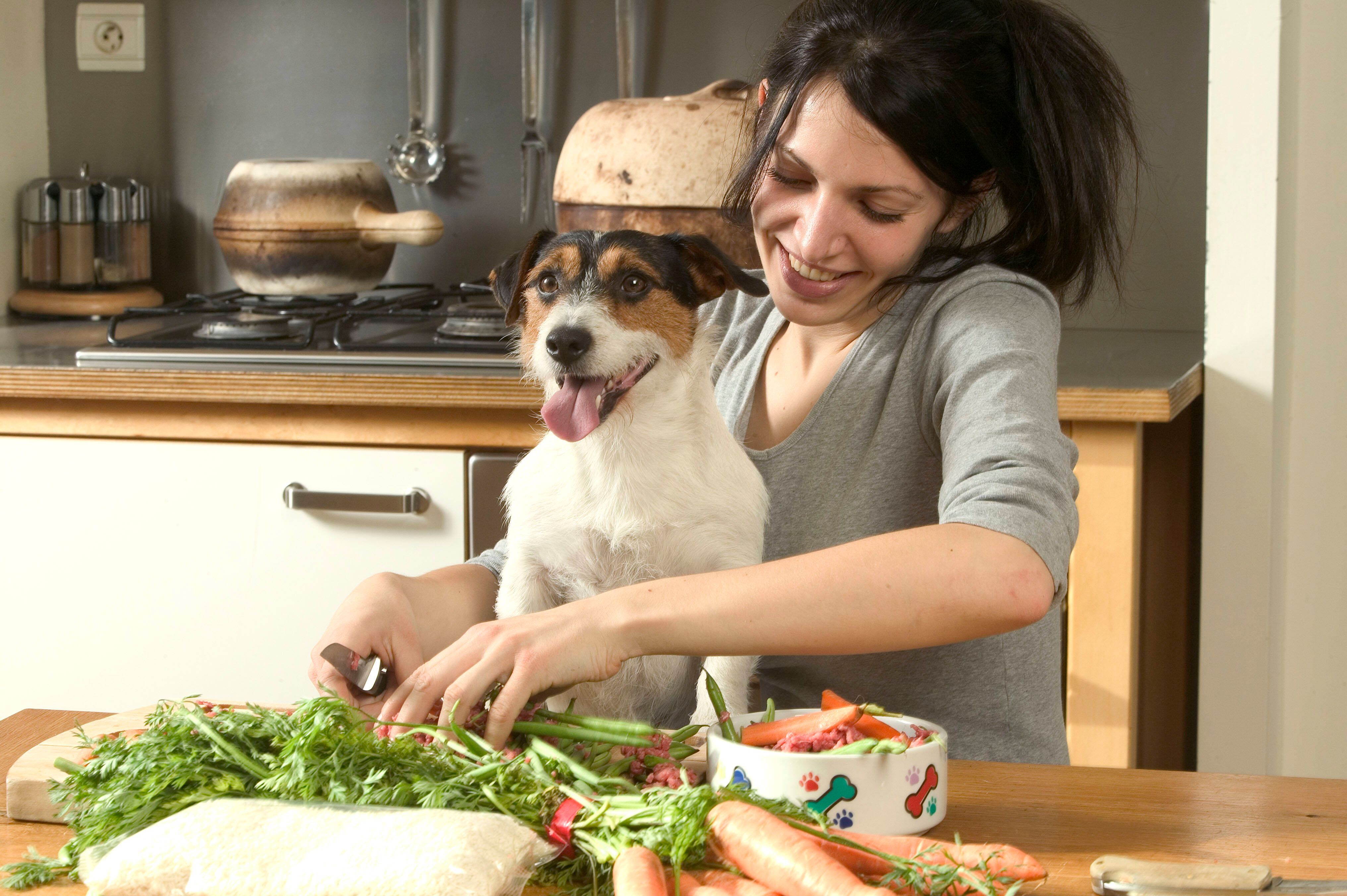Hundefutter selber machen – DAS müssen Sie jetzt wissen!