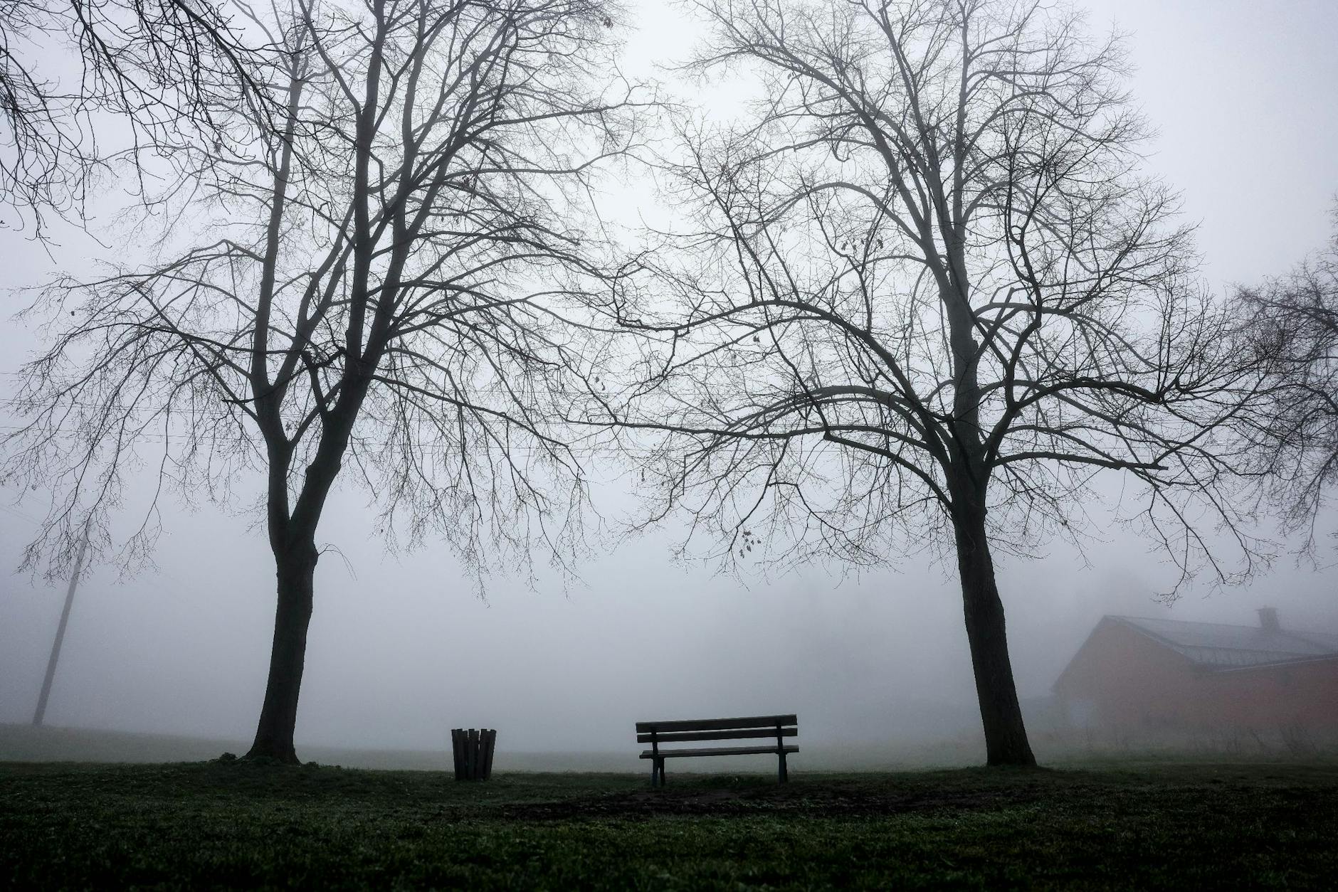 Eine Nebelbank in Sachsen.