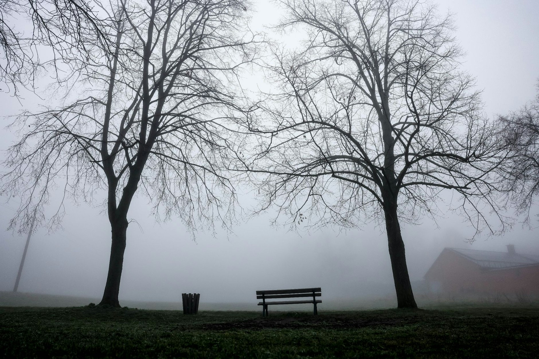 Eine Nebelbank in Sachsen.  