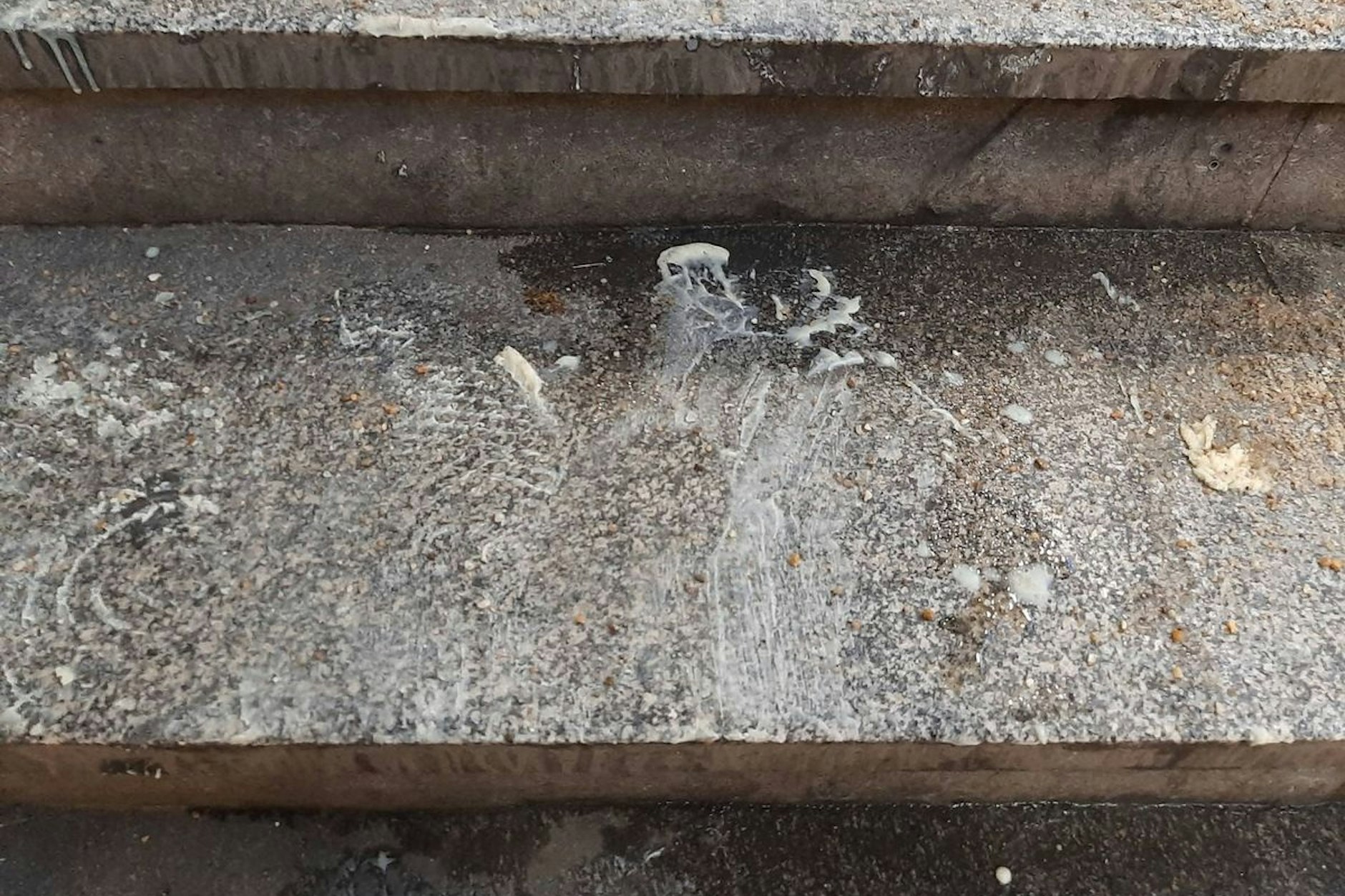 Frittenfett-Attacke in Berlin-Lichtenberg: Die Polizei such nach Zeugen! 13 Menschen rutschten aus.