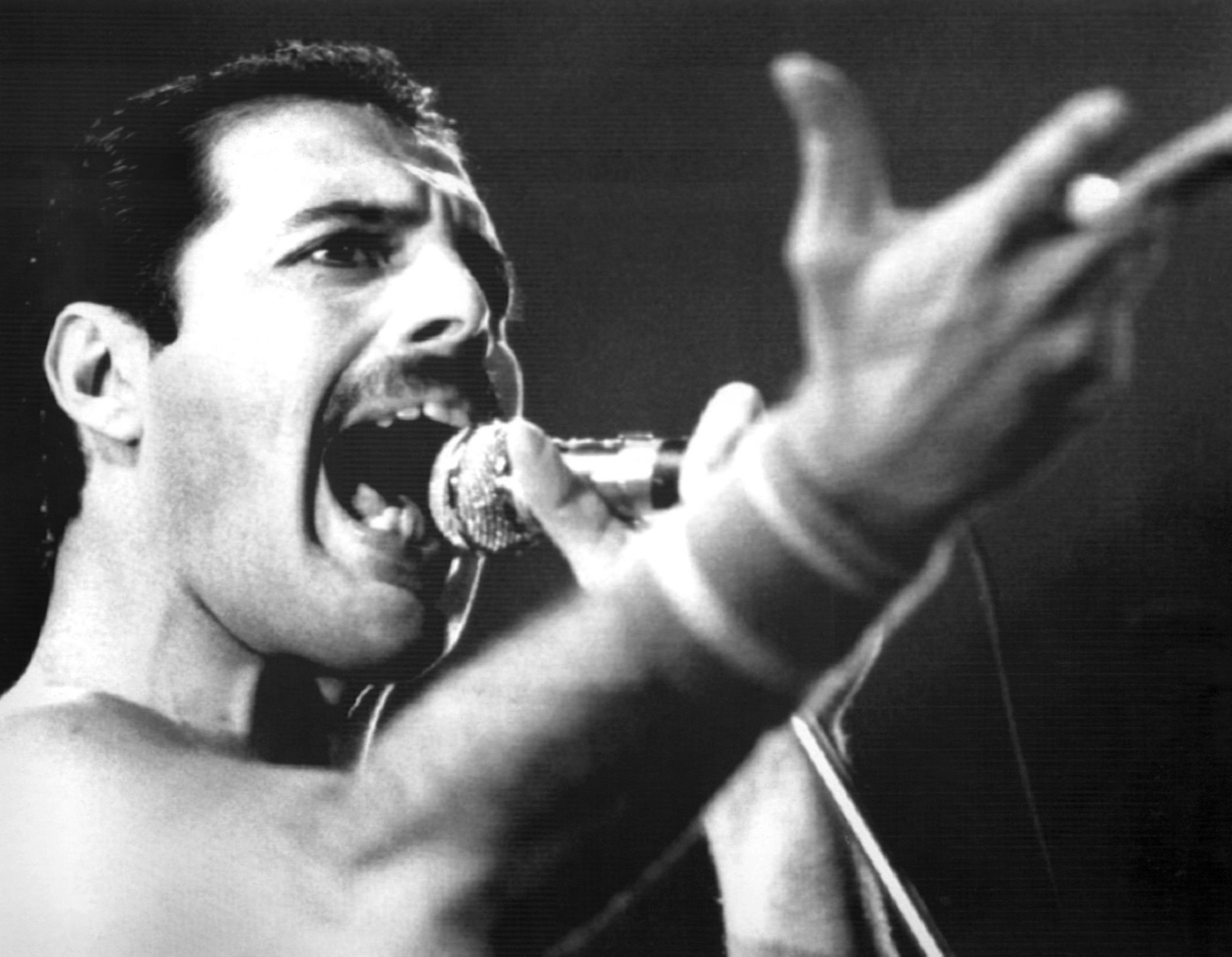 ARCHIV - Freddie Mercury, Leadsänger der britischen Rockgruppe Queen, bei einem Auftritt im September 1984.