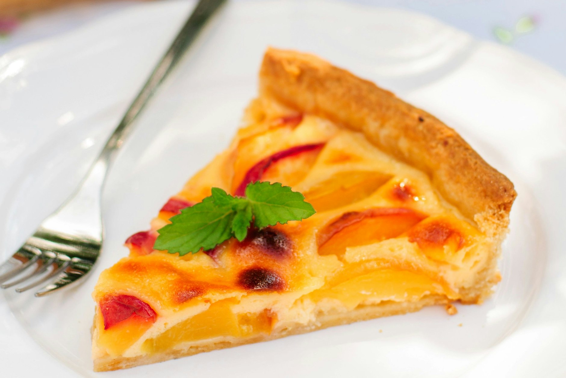 Der Aprikosenkuchen mit Sahneguss passt gut zur Frühlingsstimmung jetzt.&nbsp;