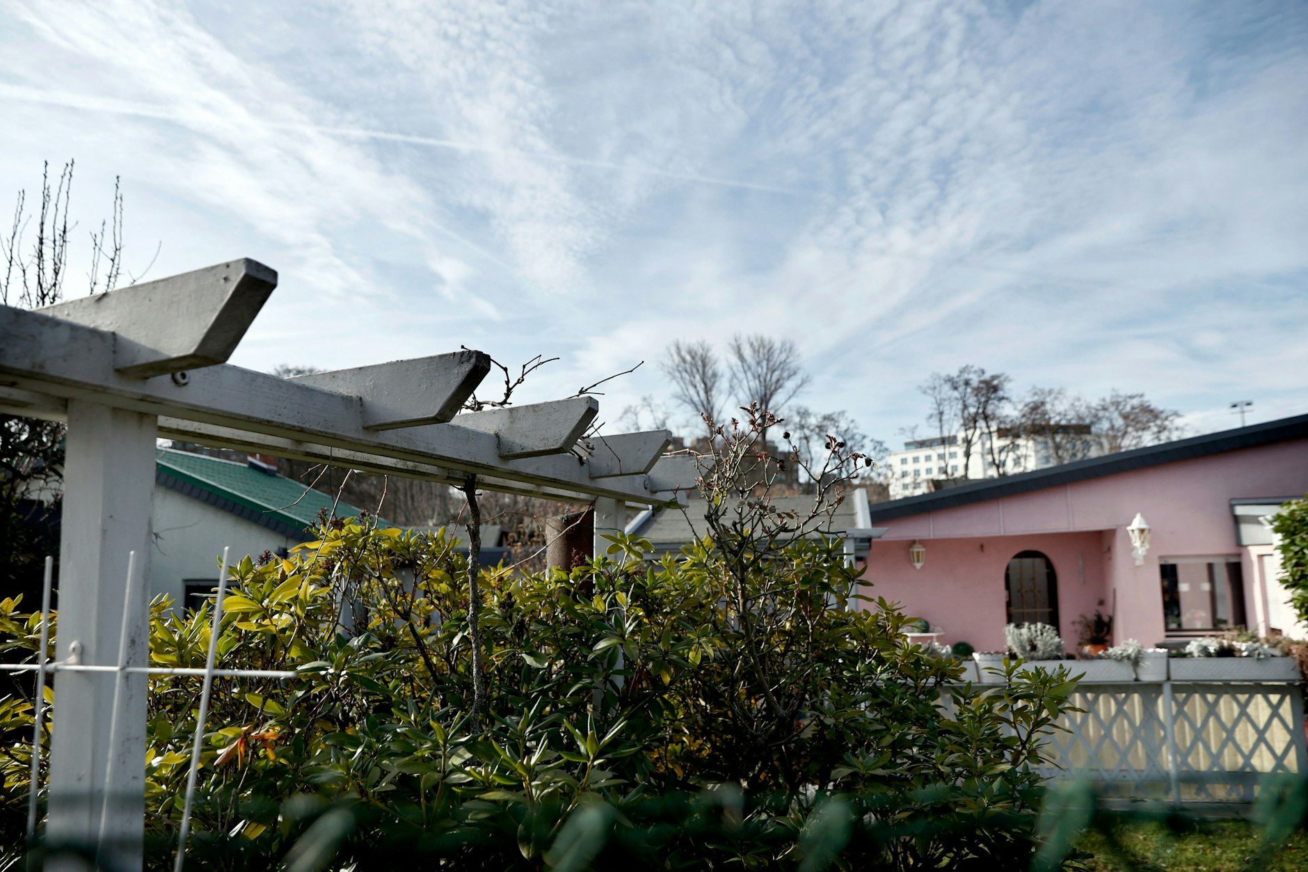 Blick über Schrebergärten in einer Kleingartenanlage nahe der Bornholmer Brücke in Pankow