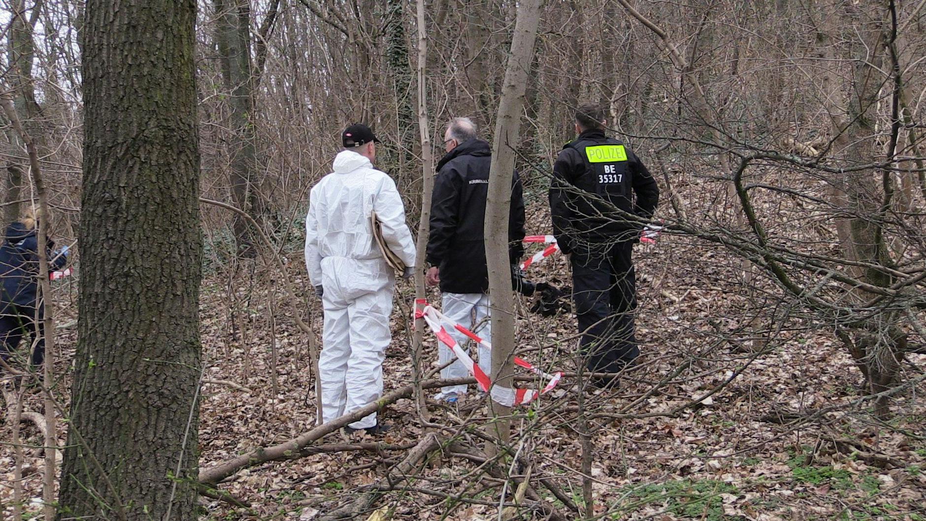 Kriminaltechniker stehen am 27. Februar 2024 im Gestrüpp an einer Fundstelle. Im Berliner Volkspark Prenzlauer Berg war an diesem Tag der abgetrennte Oberschenkel eines Menschen entdeckt worden. 