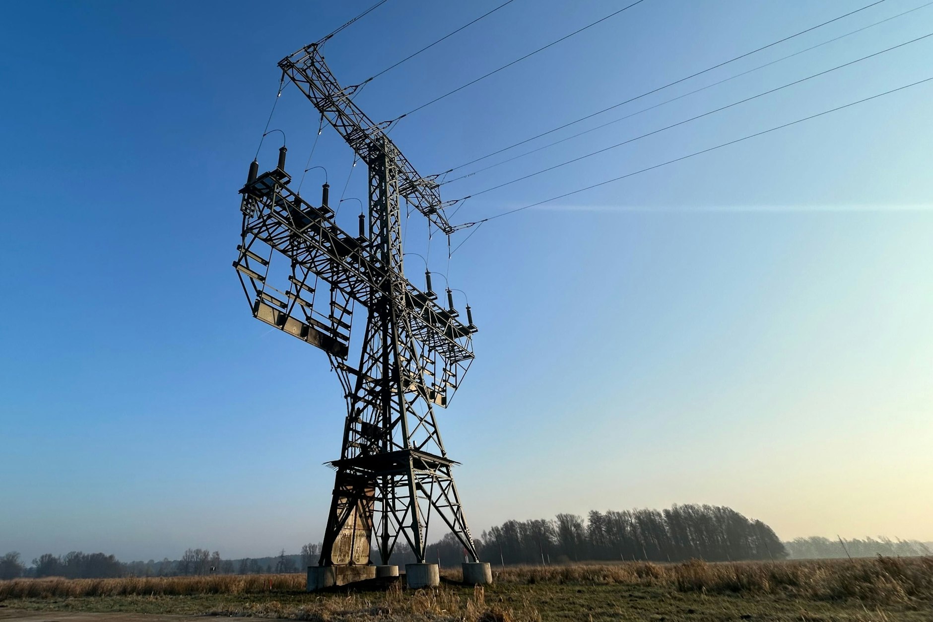 Ziel des Brandanschlags: Ein Strommast mit Brandspuren auf einem Feld nahe der Tesla-Autofabrik.